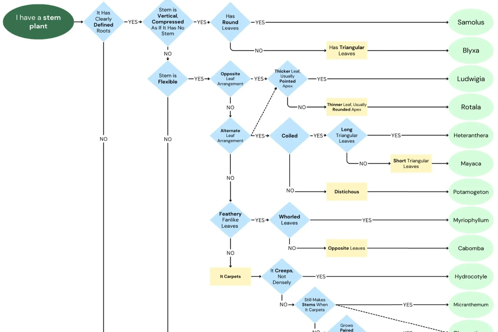 Aquatic Plant ID Flowchart