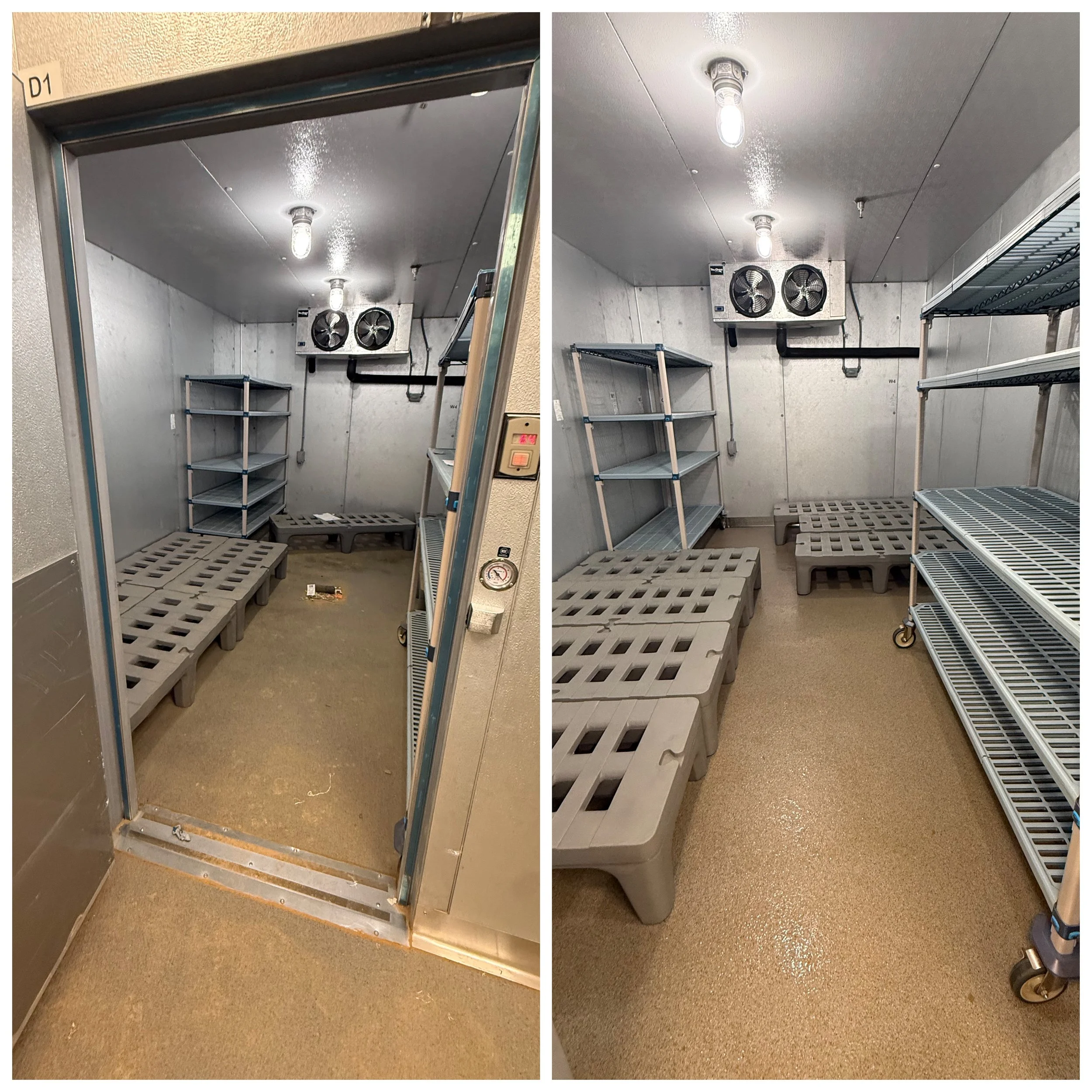 Empty walk-in cooler with metal shelves and plastic pallets, viewed from the doorway