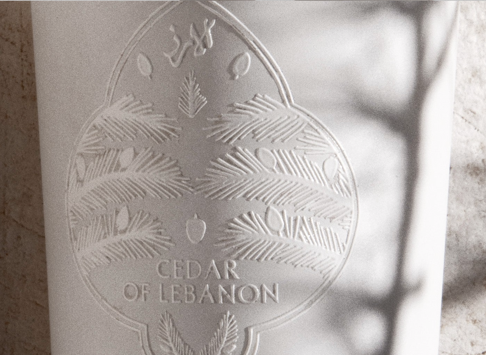 Close-up of a white container with a embossed olive branch and the text 'Cedar of Lebanon' on it, standing on a brick surface.