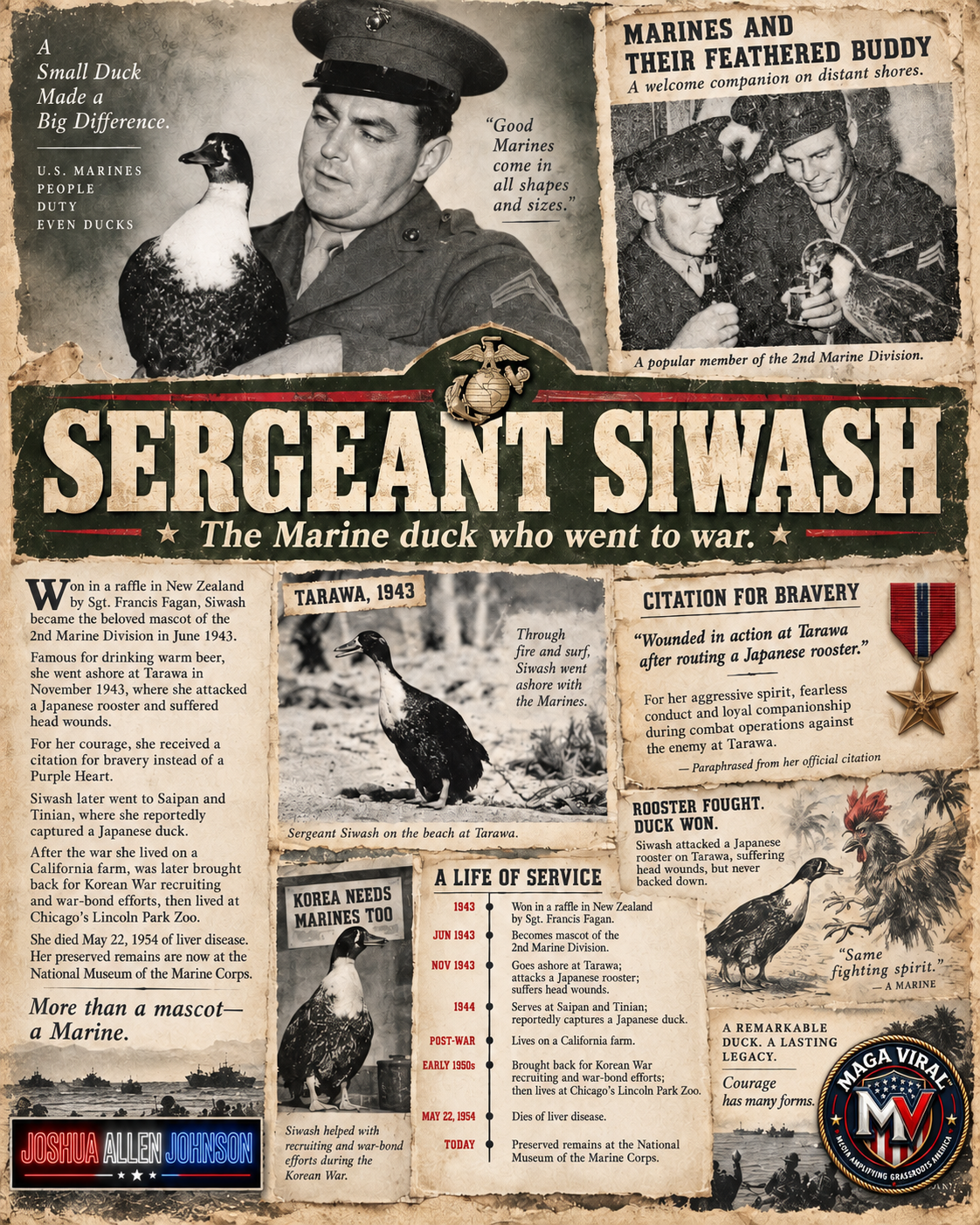 Sergeant Siwash: The Marine Duck Who Went to War, Fought a Rooster at Tarawa and Became a WWII Legend