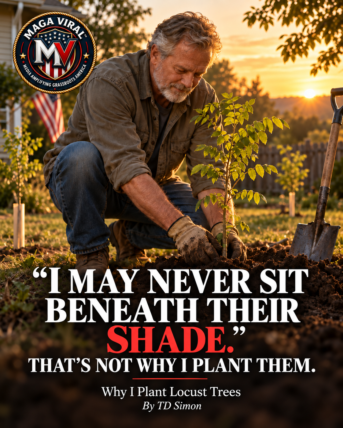 Why I Plant Locust Trees