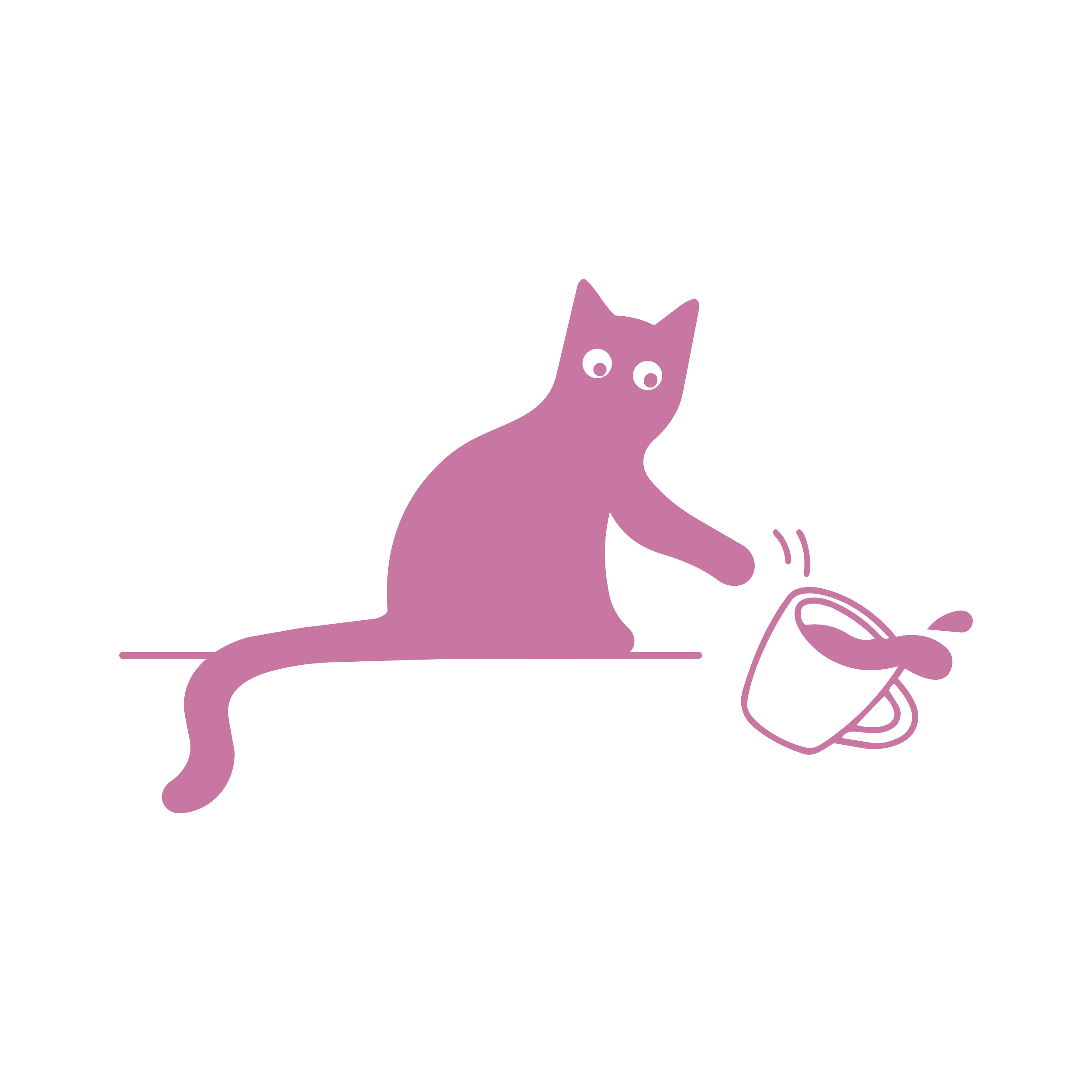 Kumeu Cat