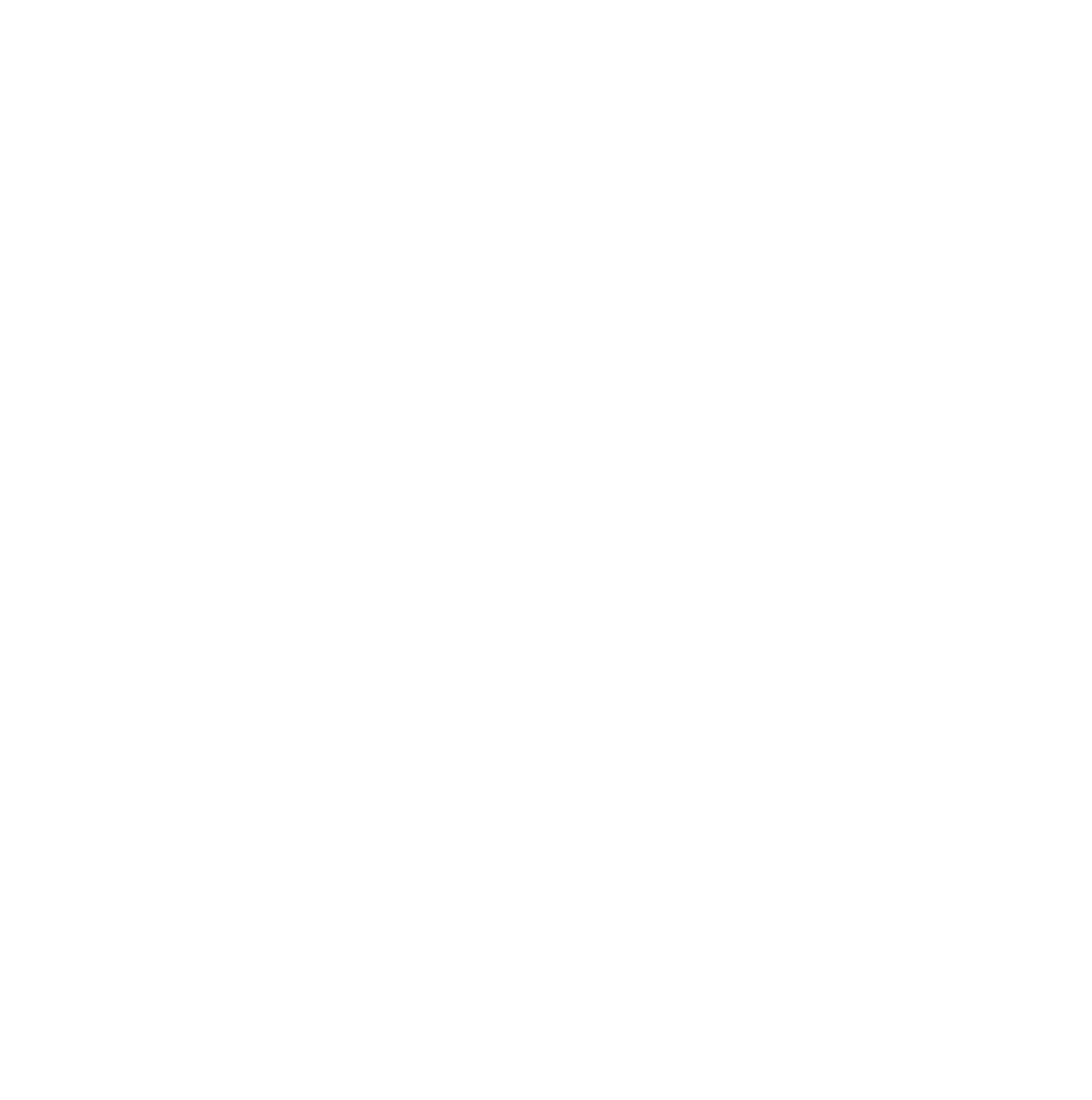 Brothers on Bikes