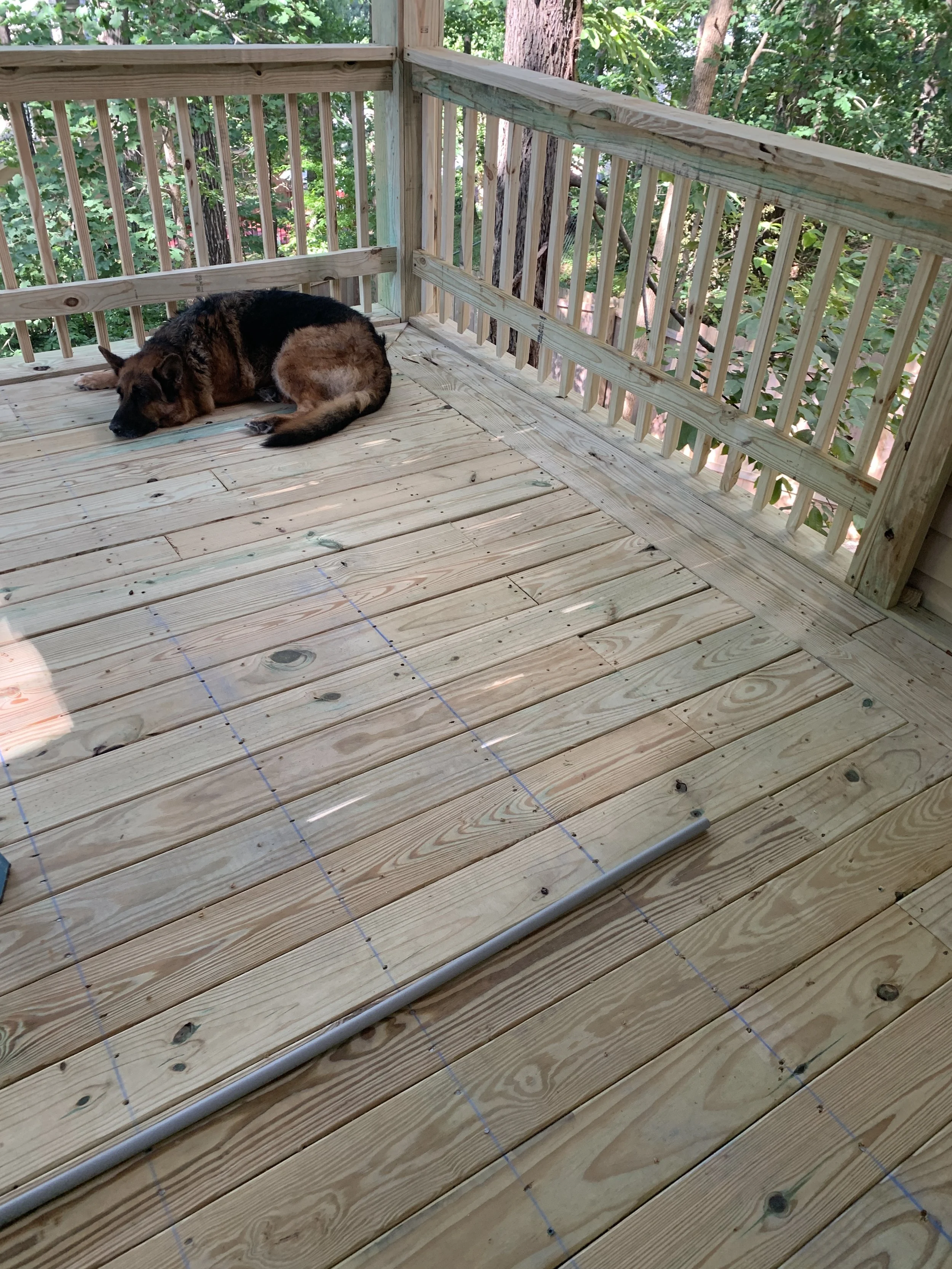 A German Shepherd dog lying on a wooden deck next to a railing, with trees and greenery in the background.