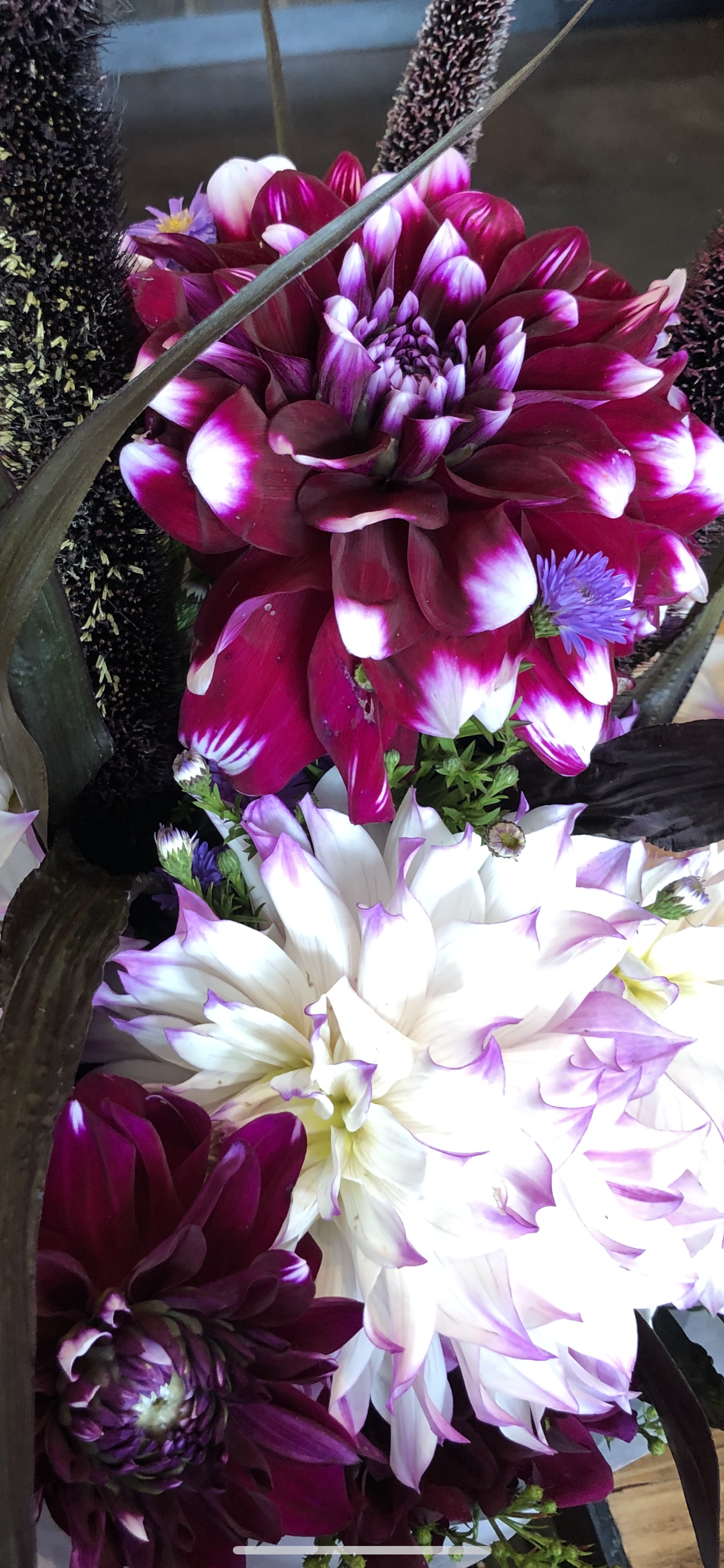 Arrangement of large, colorful dahlias, including shades of purple, white, and deep red, with some smaller purple flowers interspersed.