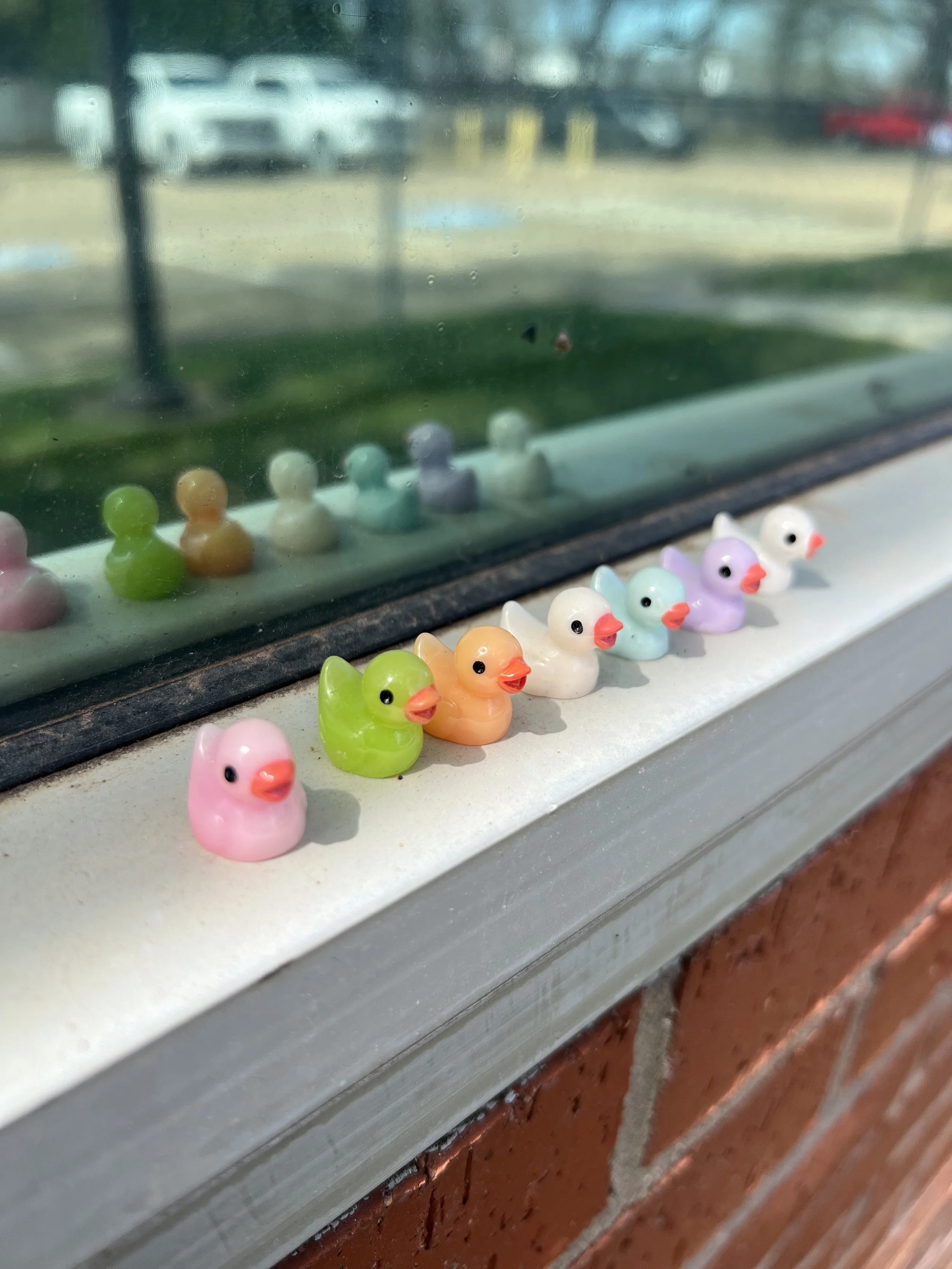 Colorful rubber duck figurines in pink, green, orange, white, blue, purple, and light green are lined up on a windowsill, with their reflections visible in the window.