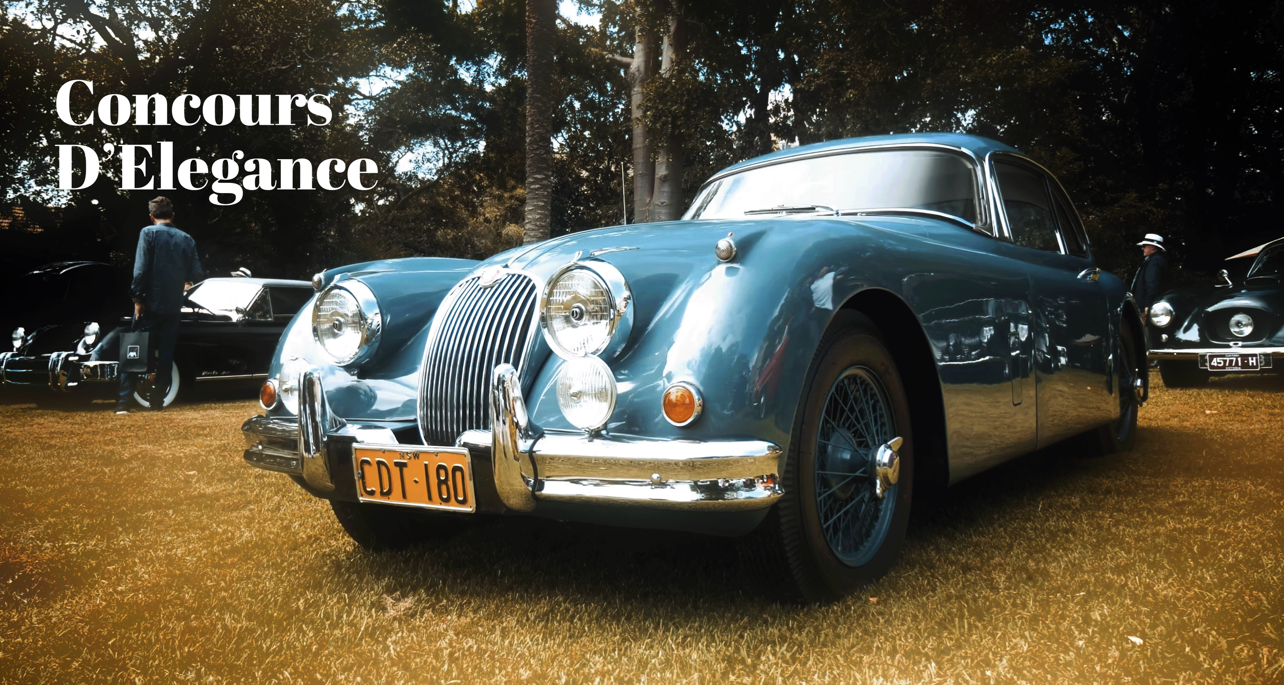 Concours D'Elegance 4.png