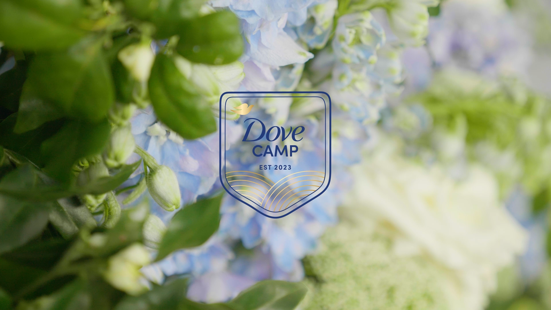 38. Dove Camp x Paramount_1.8.1.png