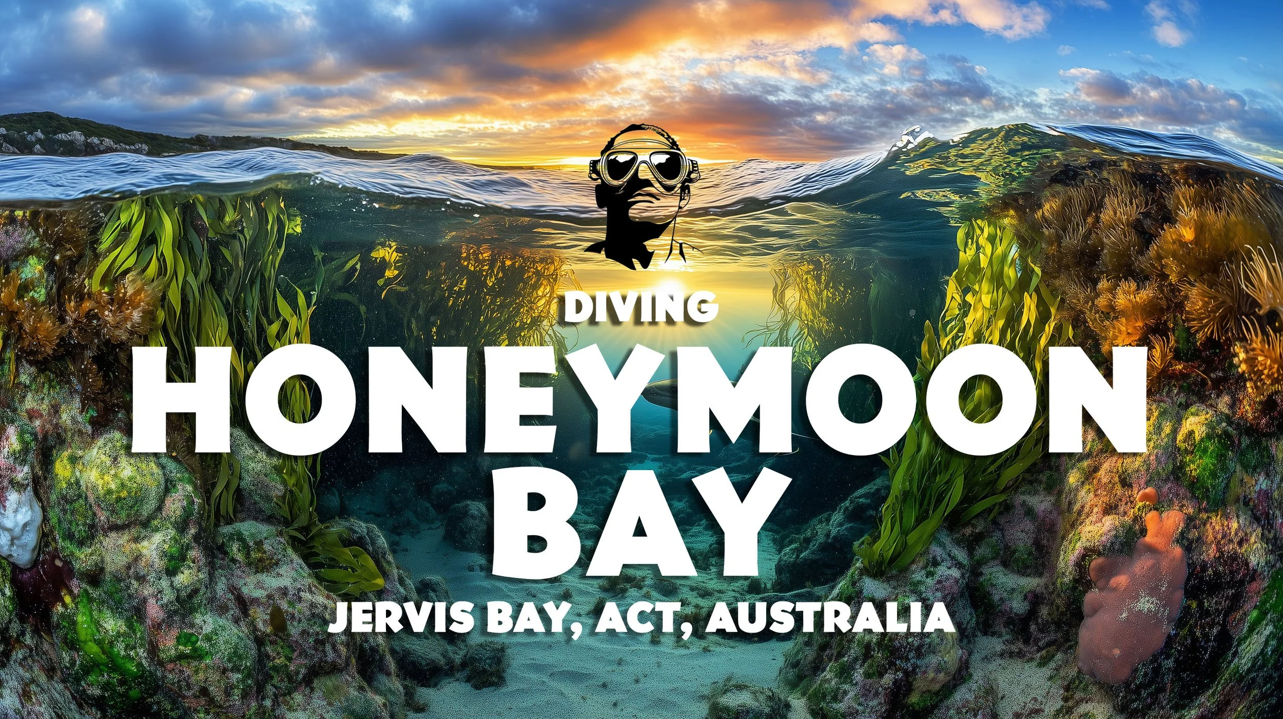 Underwater view of the vibrant coral reef at Honeymoon Bay with clear marine water, diverse coral and seaweed, and a view of the sunset sky above the water at Jervis Bay, Australia.