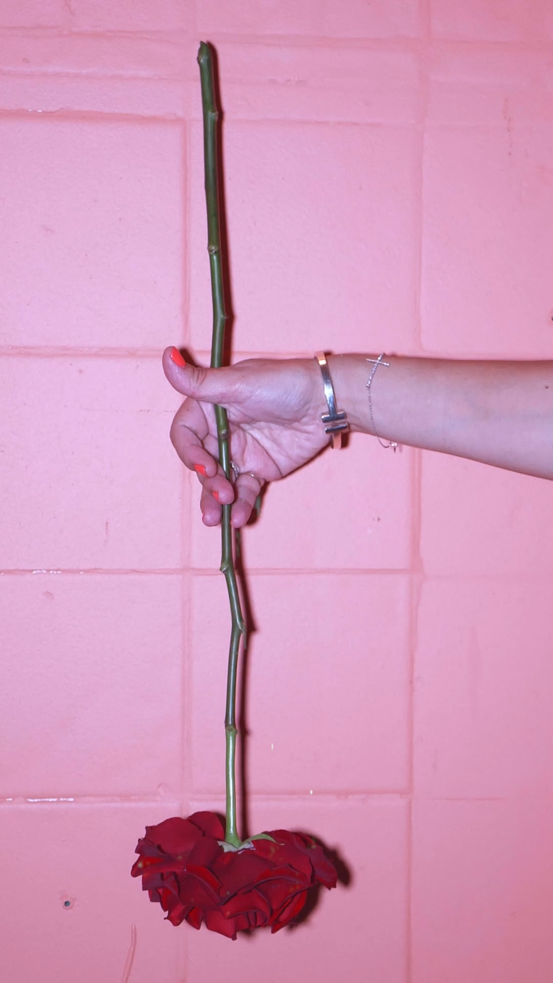 70. The Rose, Paddington_2.2.1.png