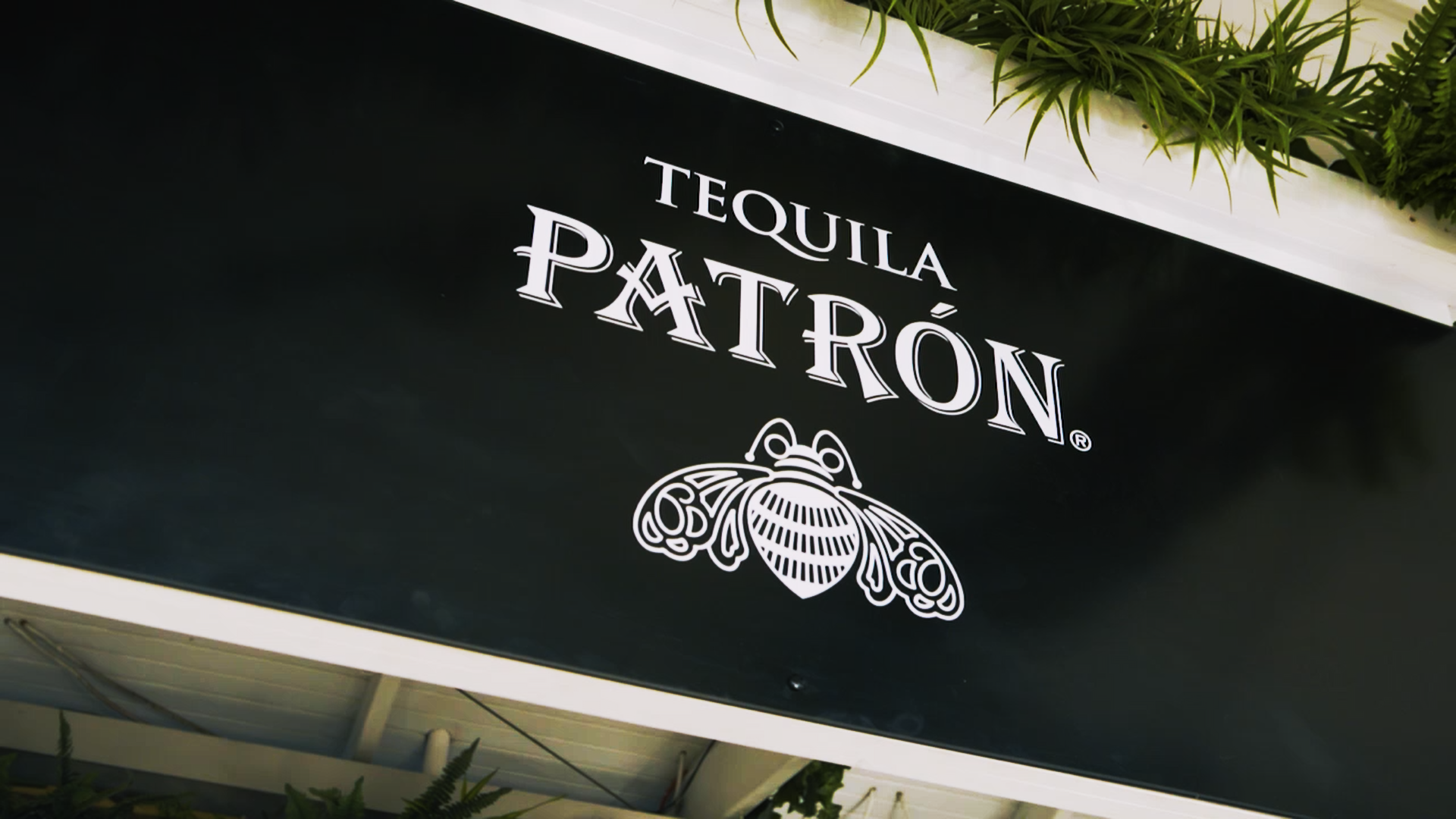 52. Patron Perfectionists_1.5.1.png