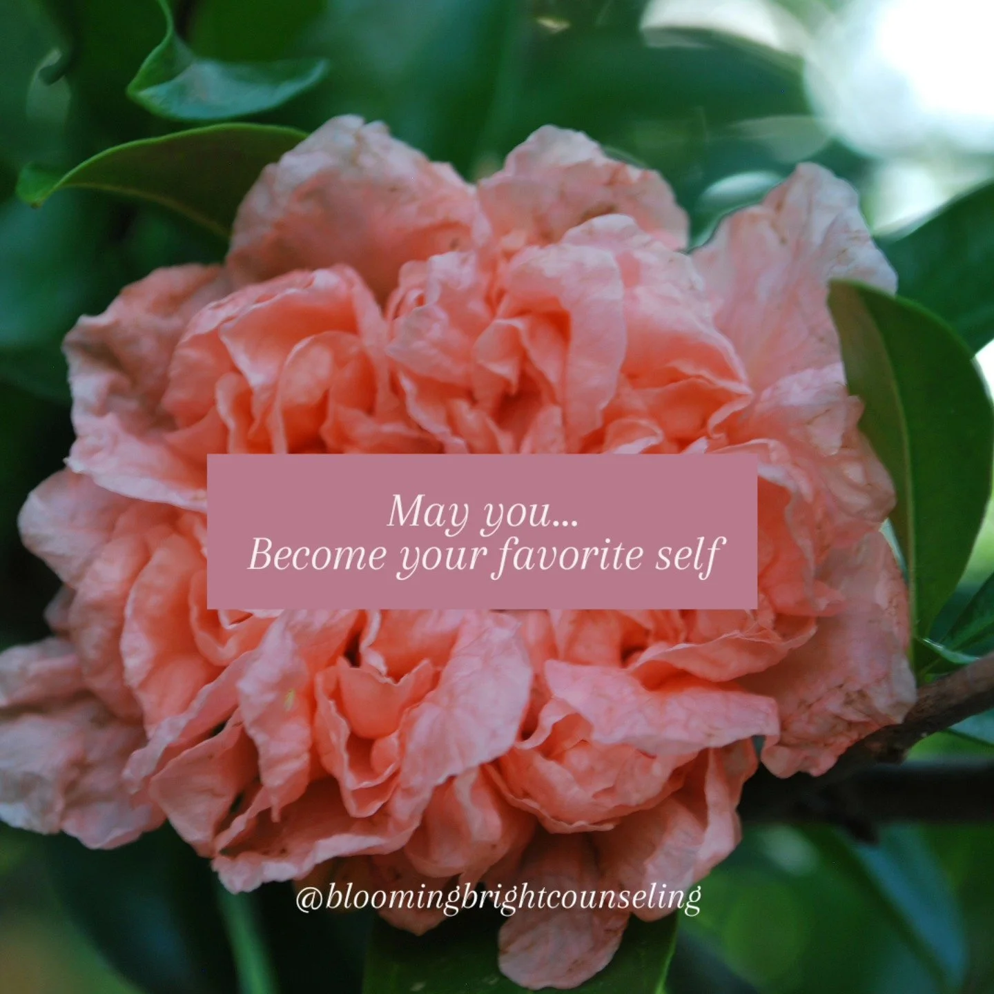 Self love starts with acceptance. You don't have to be the best or perfect to love yourself. In fact, true self love means loving those imperfections and being your favorite version of yourself.

#mentalhealthawarenessmonth #selflove #selfesteem #acc