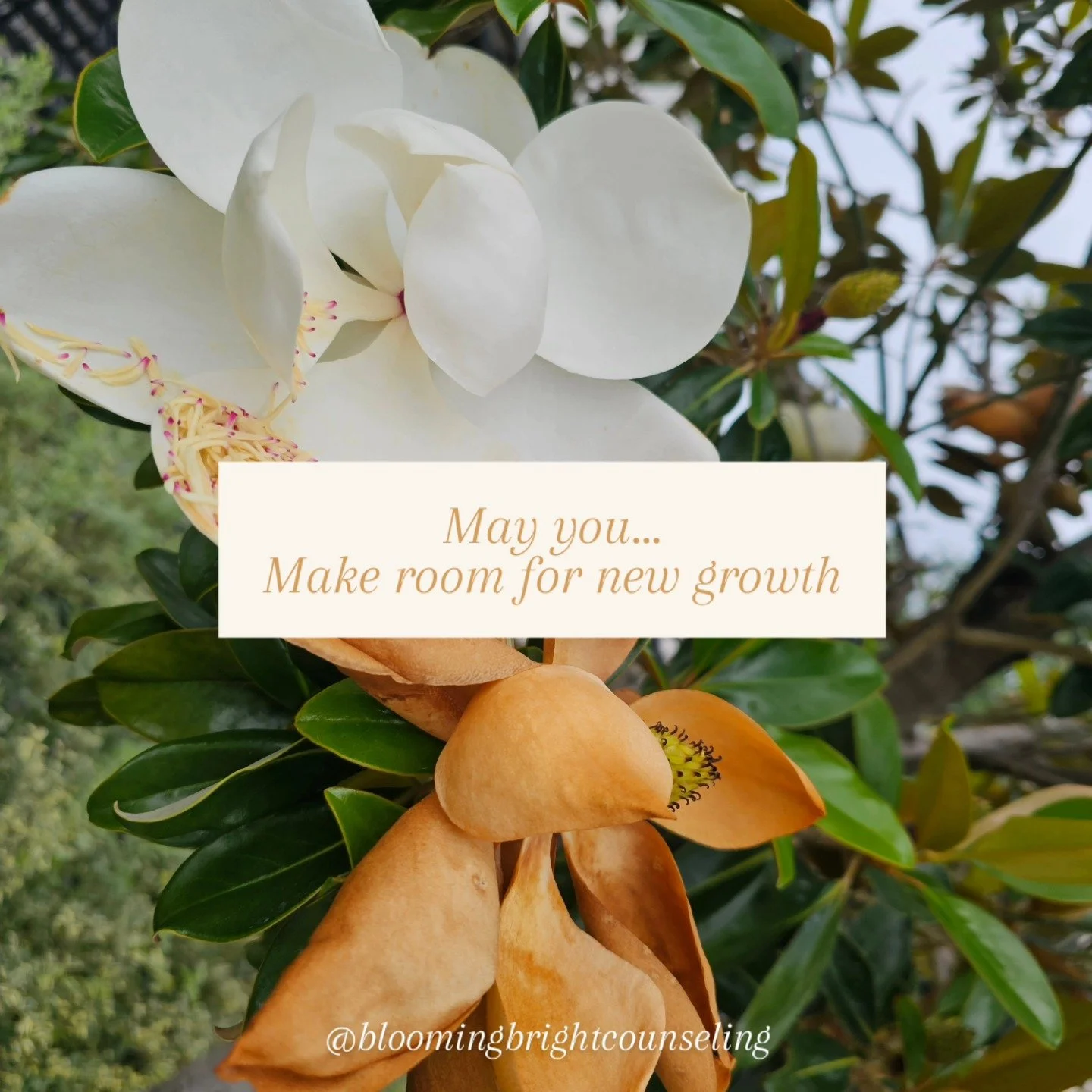 Sometimes you need to lose in order to gain. Growth isn't always easy. Letting go of what no longer serves you so your life has room for something greater is a difficult transition, but you can do hard things.

#mentalhealthawarenessmonth
#growthmind