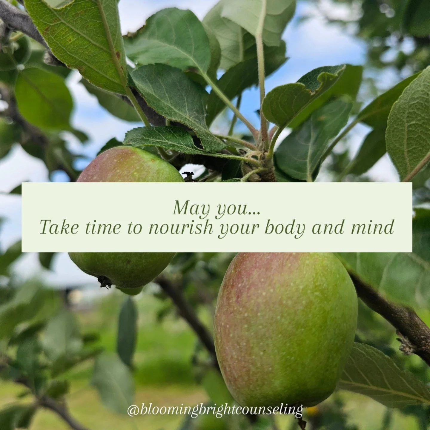 Enjoy the fruits of your labor. You work hard. Its ok to pause when needed.  Remember that rest is productive.

#mentalhealthawarenessmonth #selflove #rest