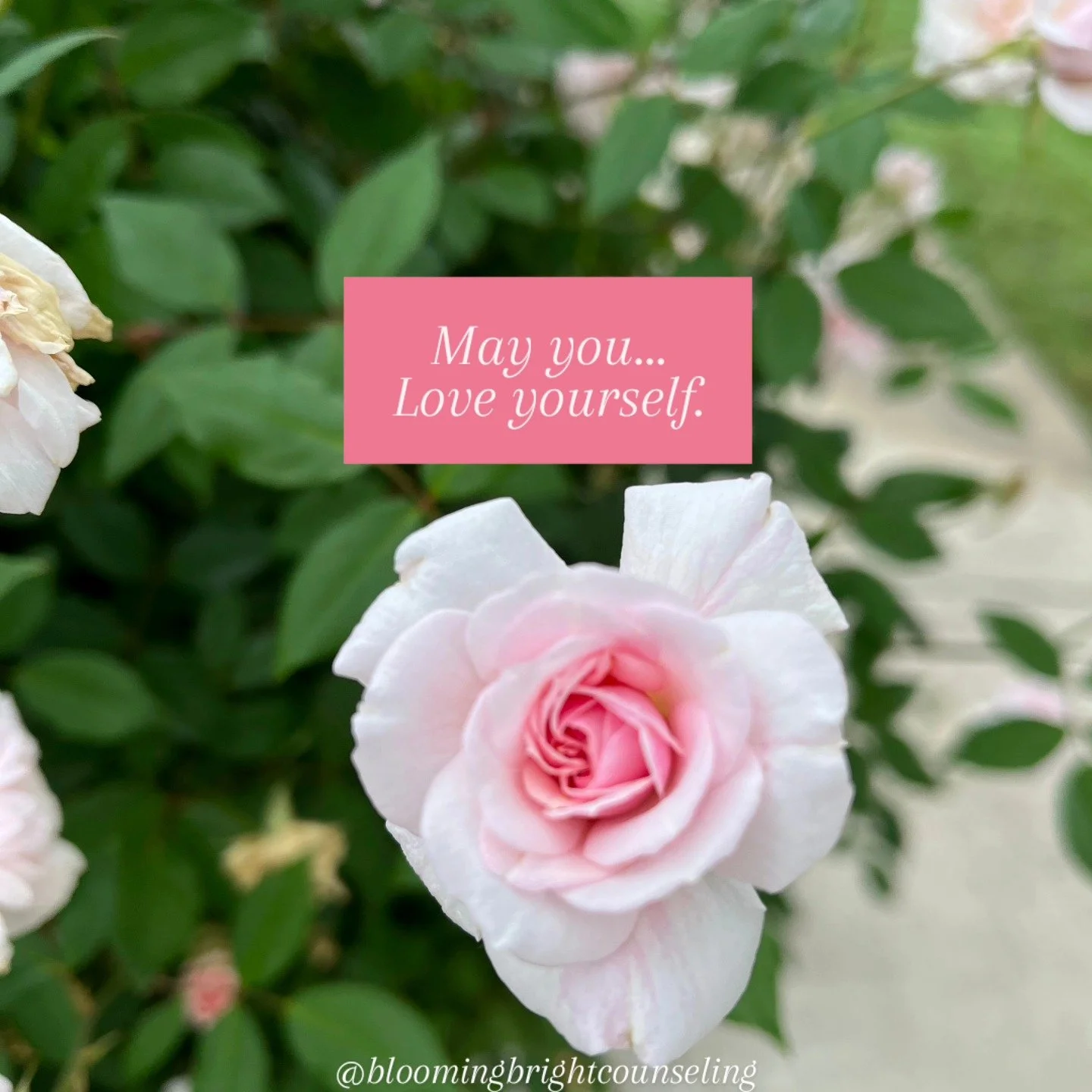 Take time during mental health month this May to practice self compassion and love. 

#mentalhealthawarenessmonth #love #selflove