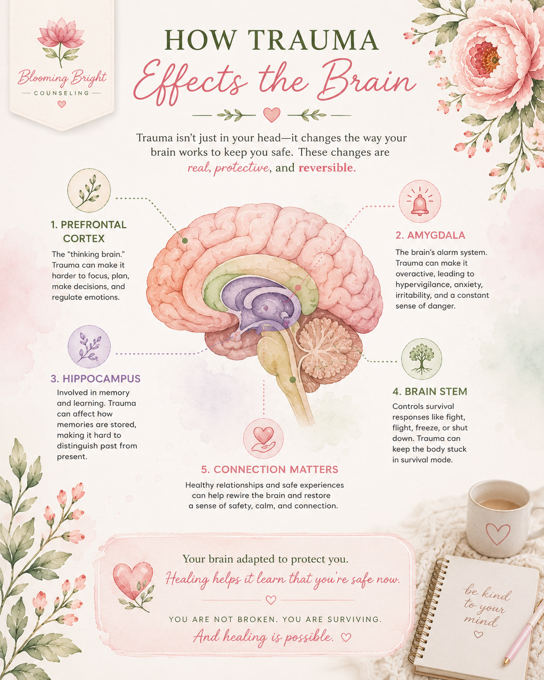 Trauma brain