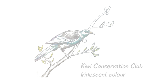 Jeremiah Was Not One Thing. Neither Are You. Here's What Iridescence Teaches Us About Calling.