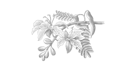 The Magi Didn't Just Take a Detour. They Chose a Different Way Home. Here's Why That Matters.