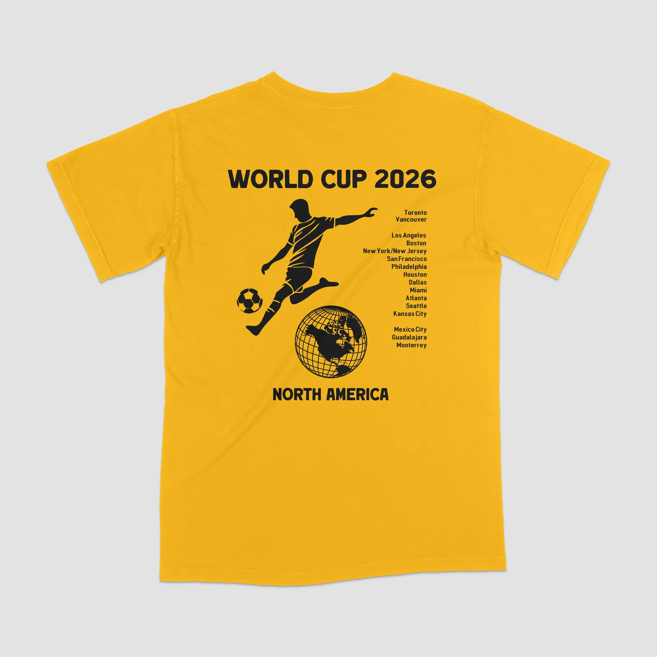 FIFA GOLD BACK.jpg