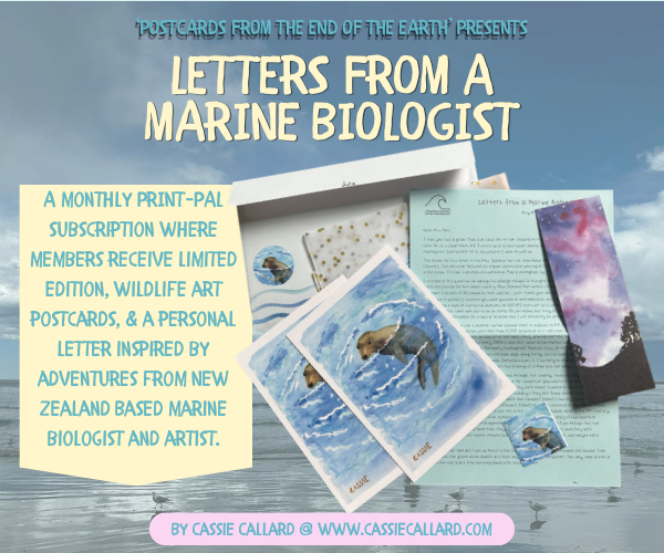 Promotional flyer for a magazine called "Letters from a Marine Biologist." The flyer features images of wildlife art postcards, a personal letter, and a subscription offer. The background shows a scene with the ocean and a cloudy sky.
