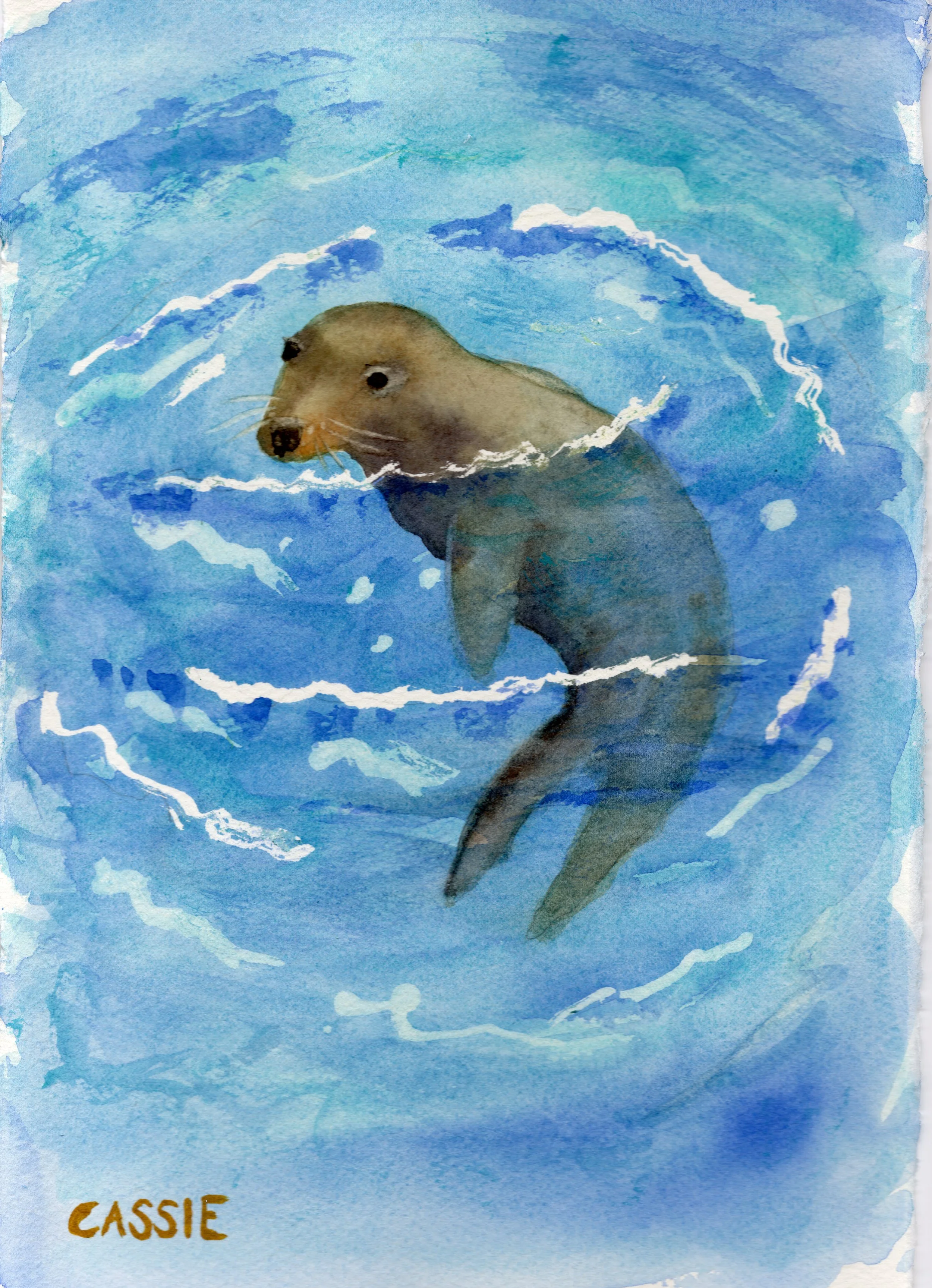Limited Edition Fine Art Print - Sea Lion (unframed)