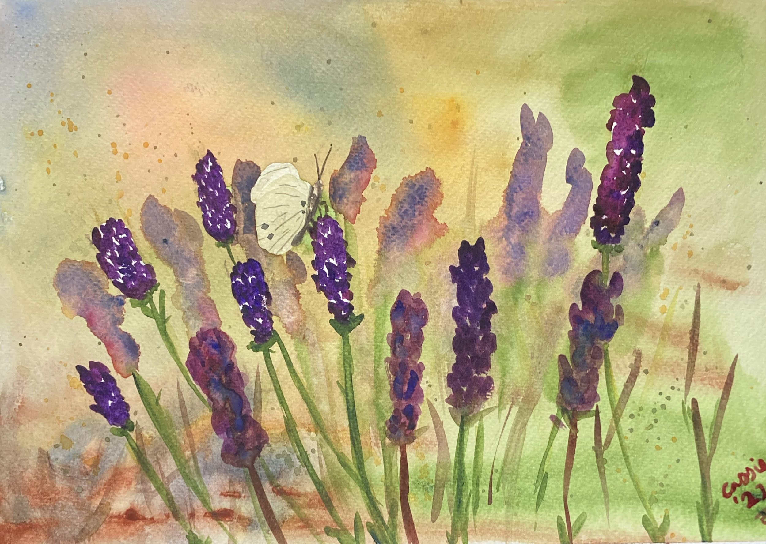Watercolour painting of a white butterfly and lavender in a loose style
