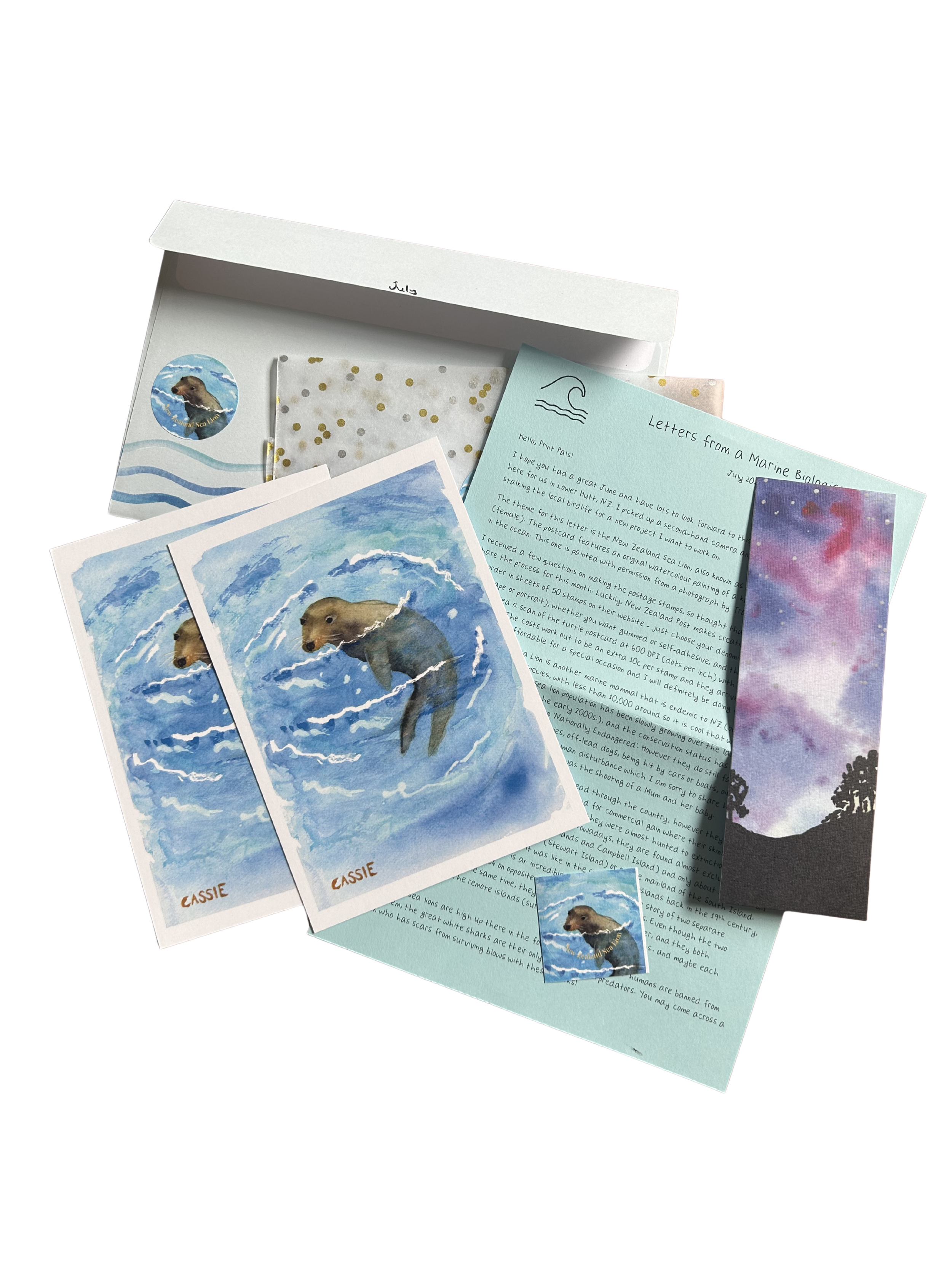 sea lion letter print club