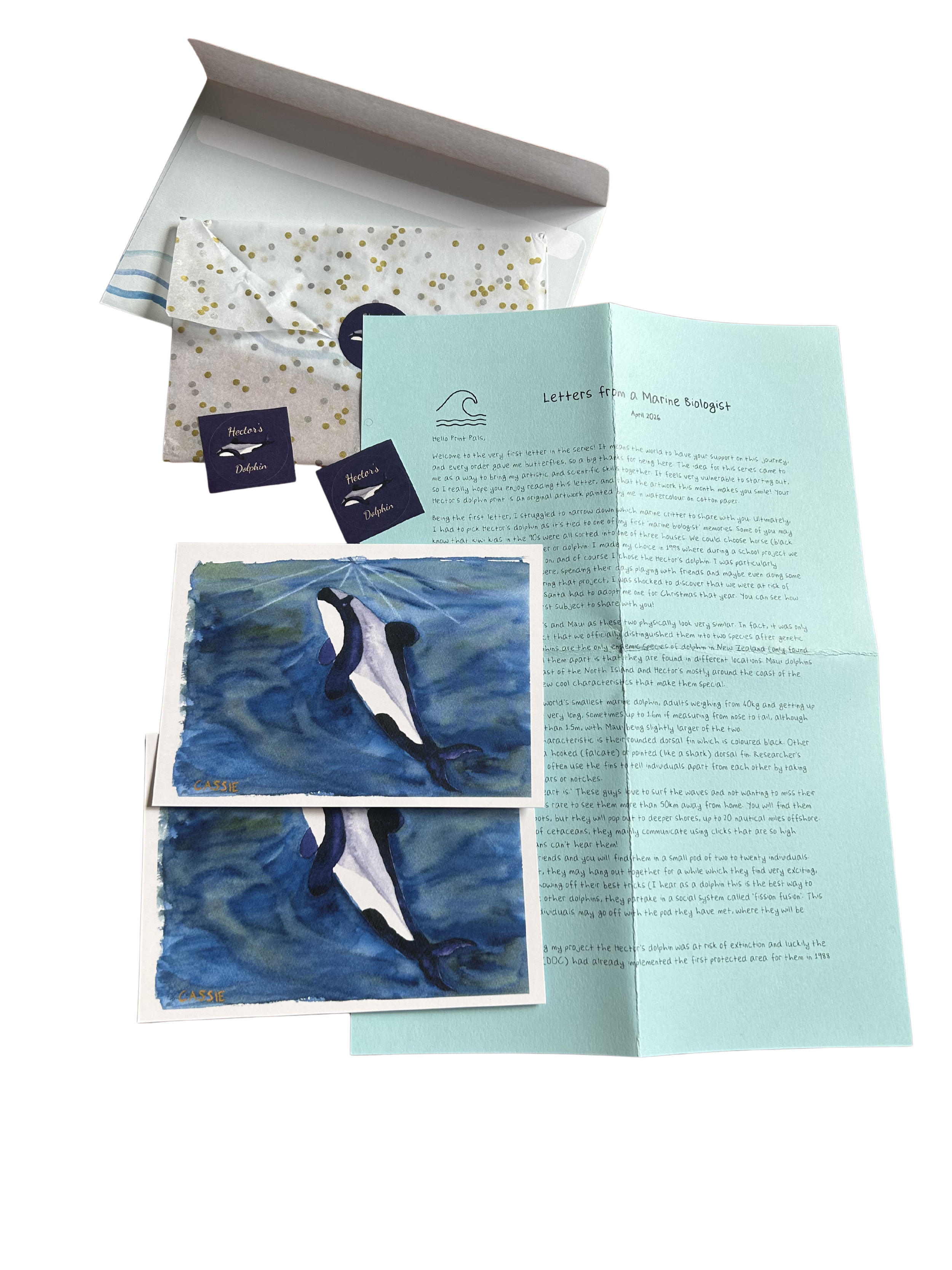 hectors dolphin letter print club