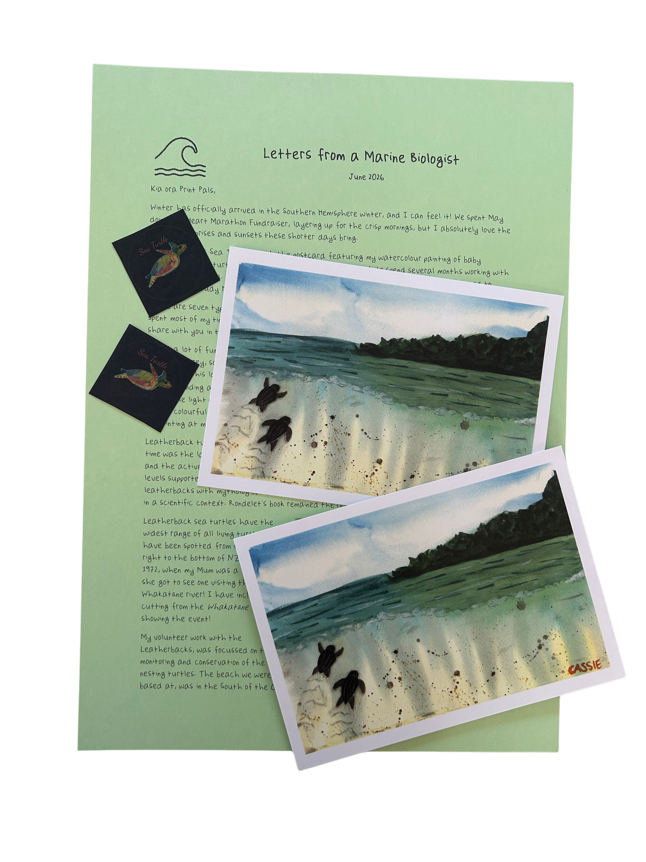 sea turtle letter print club