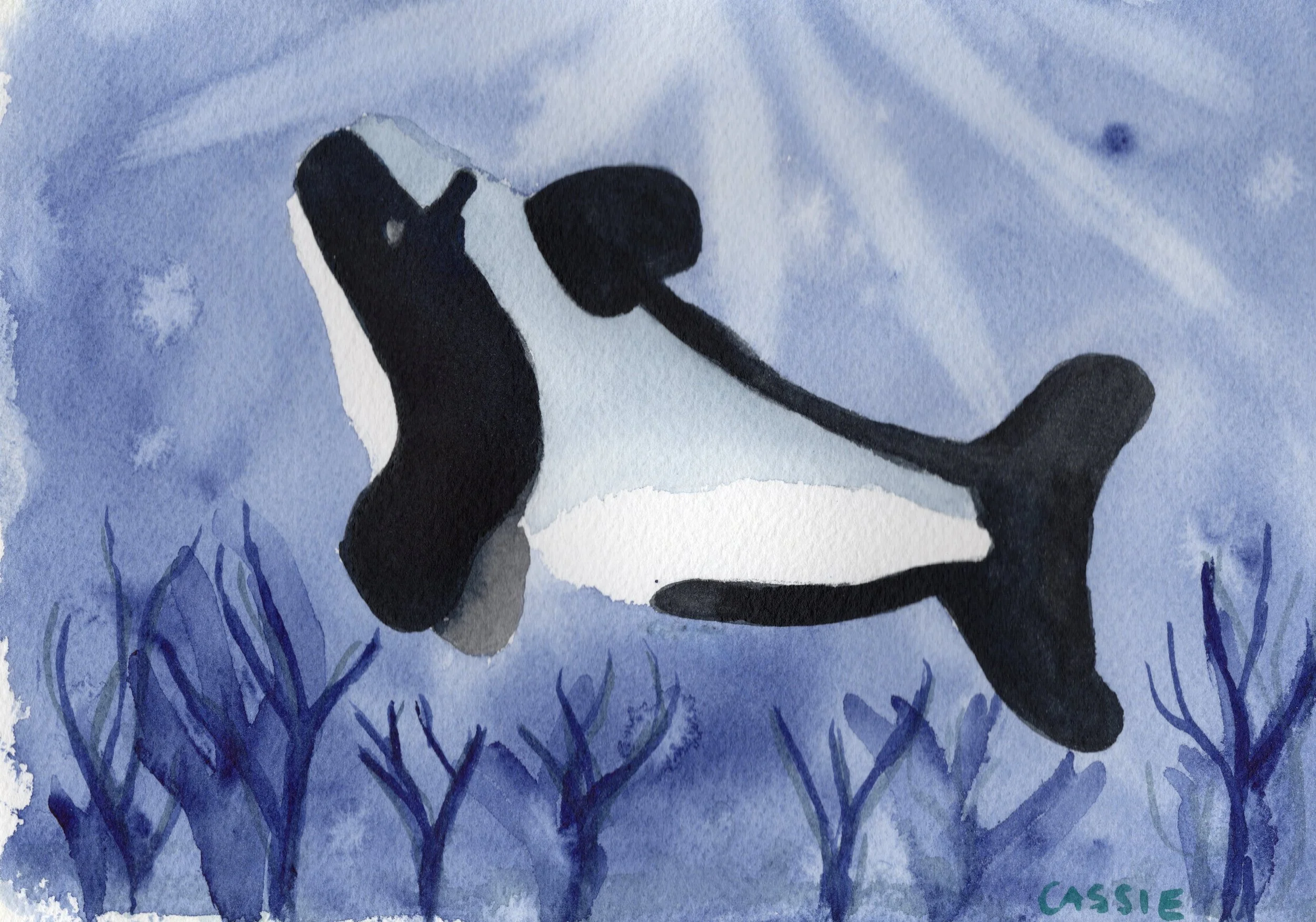 A loose watercolour painting of an orca in the light