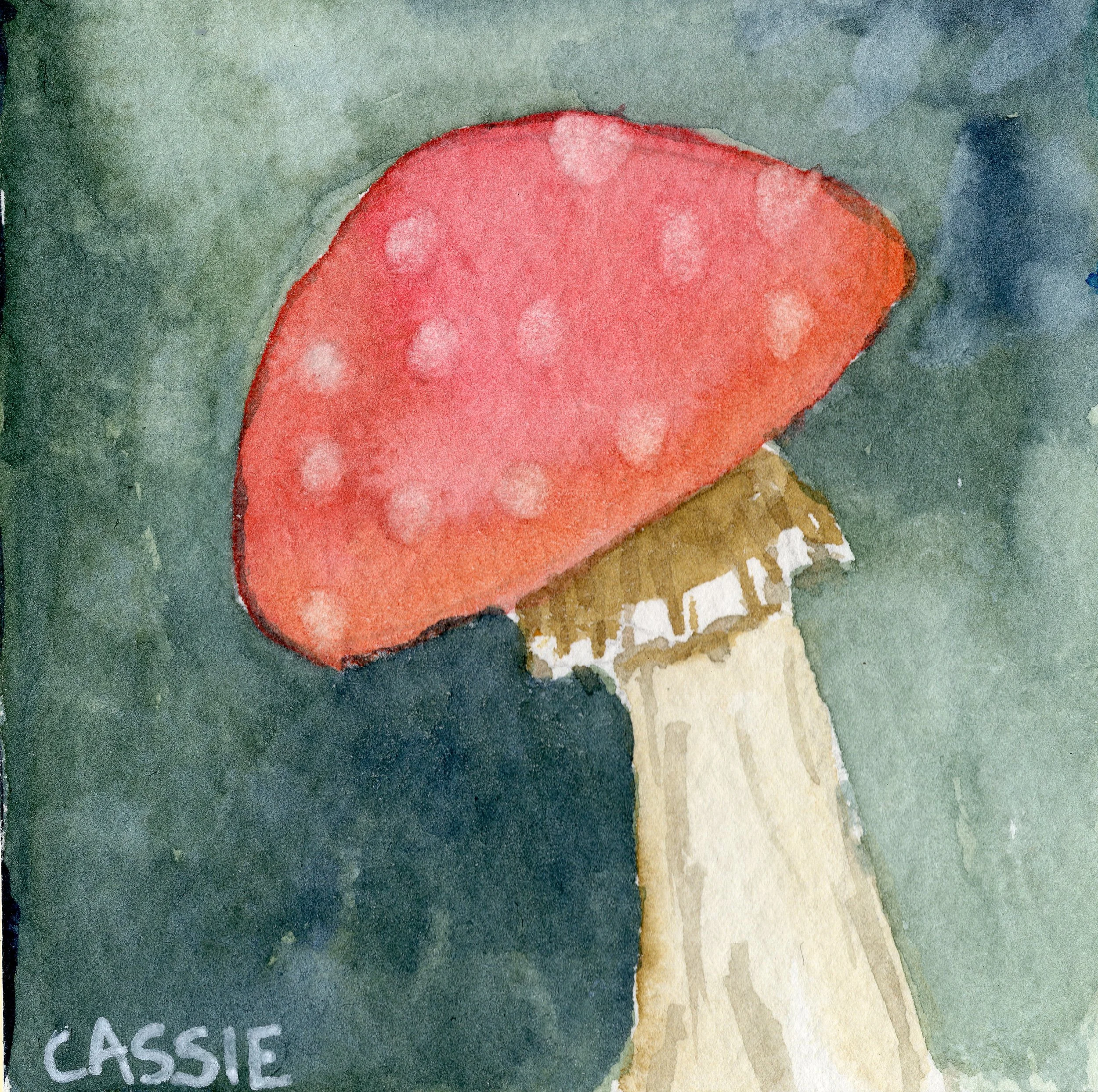 Watercolor painting of a red mushroom with gray background and white text that reads 'CASSIE'.