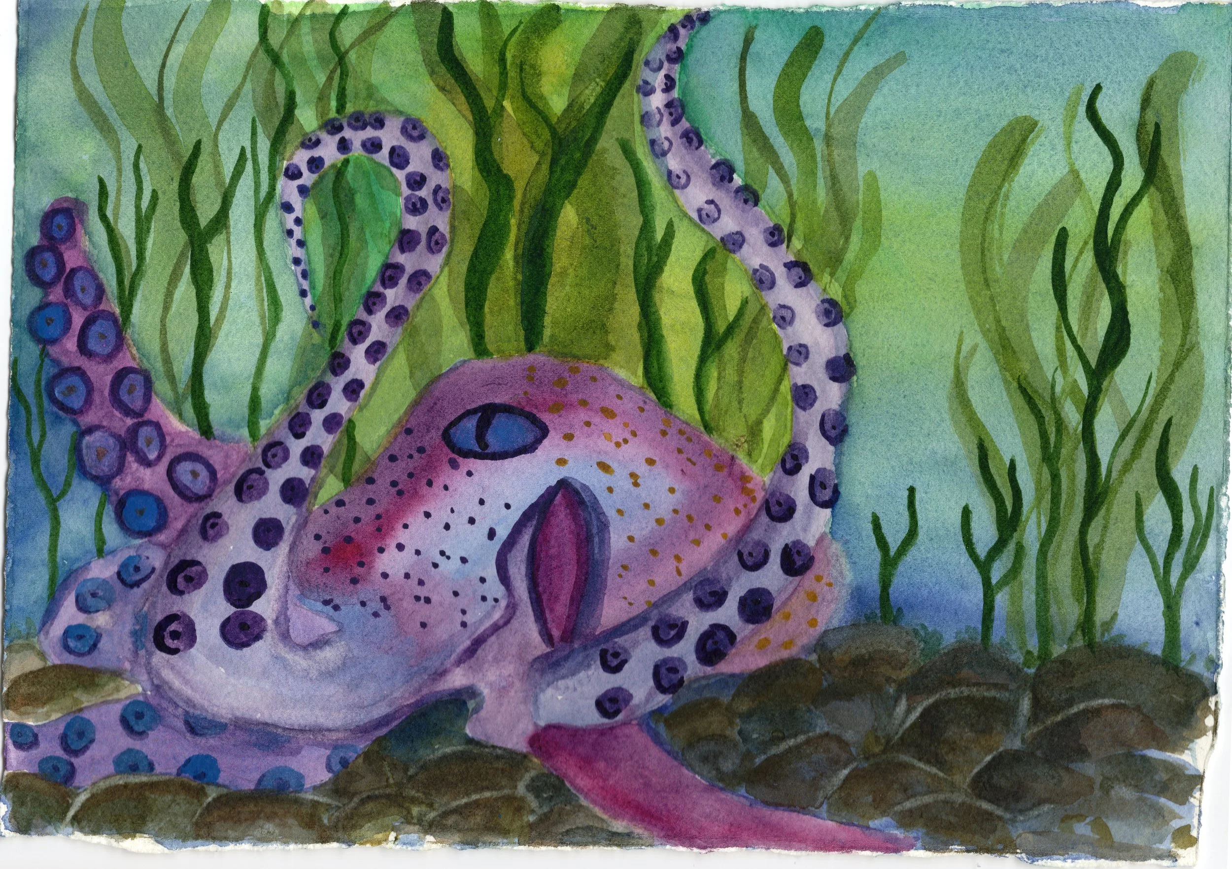 Limited Edition Fine Art Print - Inky the Octopus (unframed)