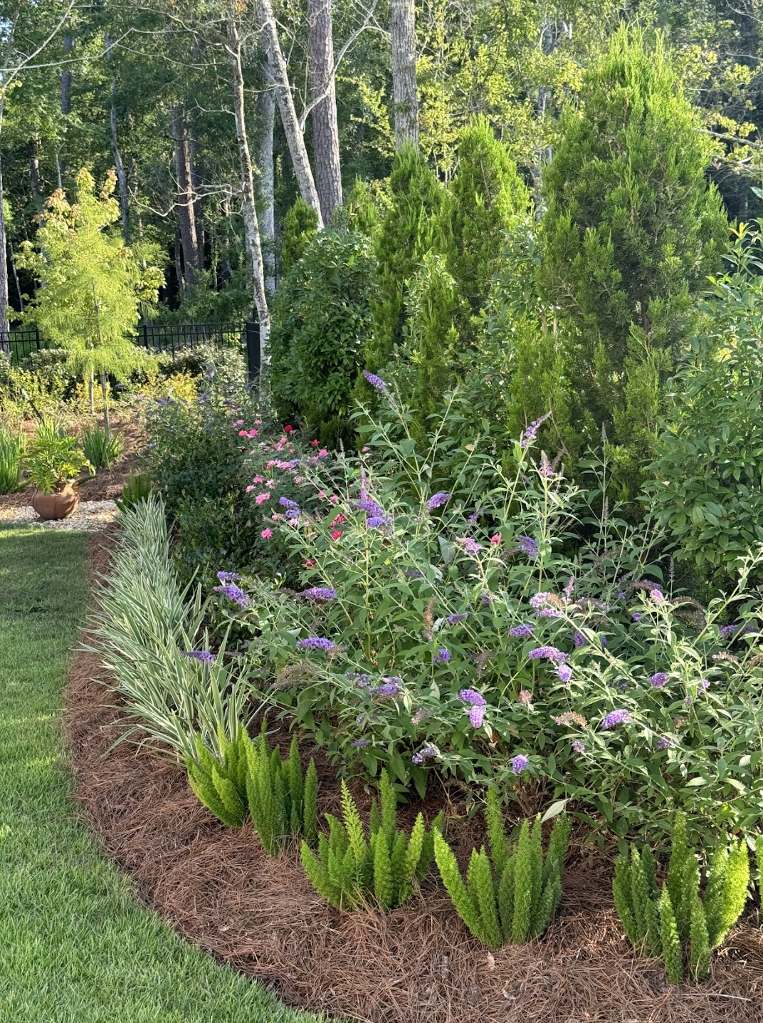 Screen Shot 2026-03-20 at 12.08.05 PM.png