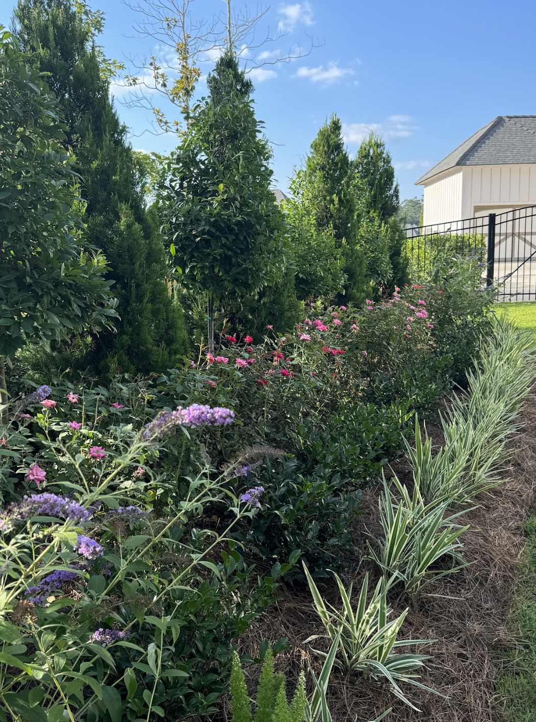 Screen Shot 2026-03-20 at 12.06.49 PM.png