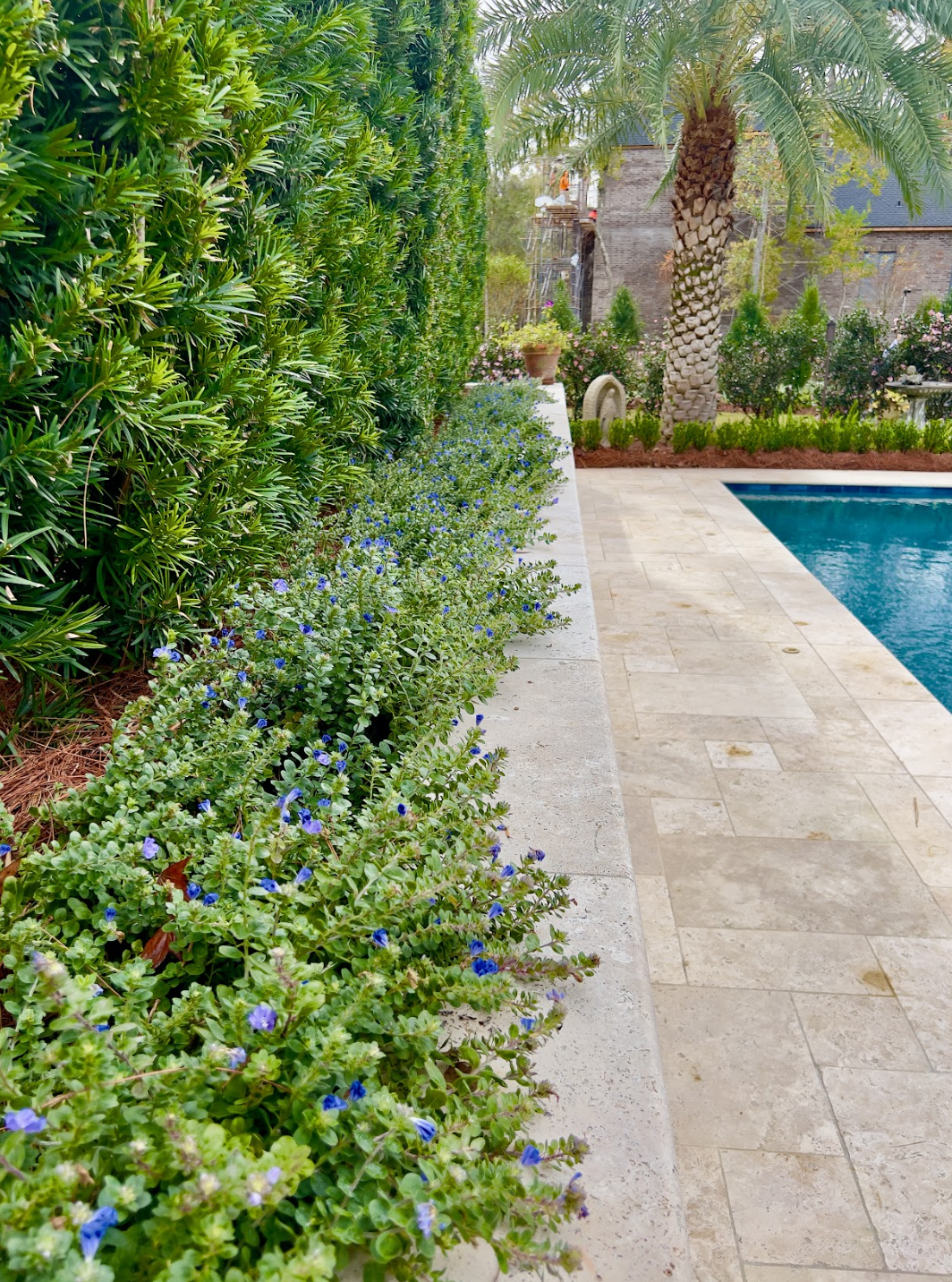 Screen Shot 2026-03-20 at 12.10.49 PM.png