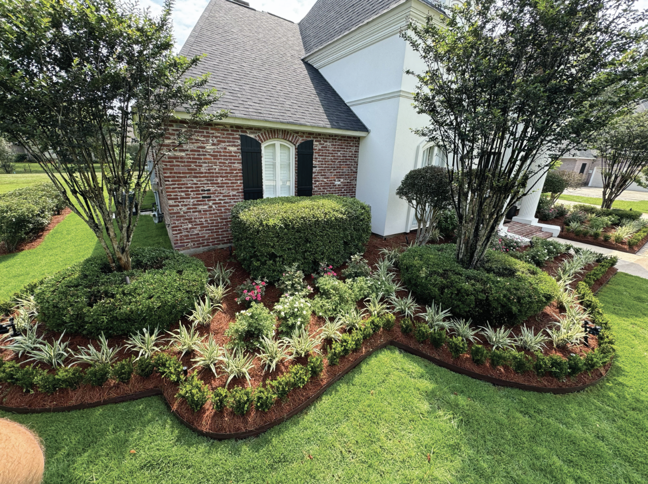 Screen Shot 2026-03-20 at 12.38.47 PM.png