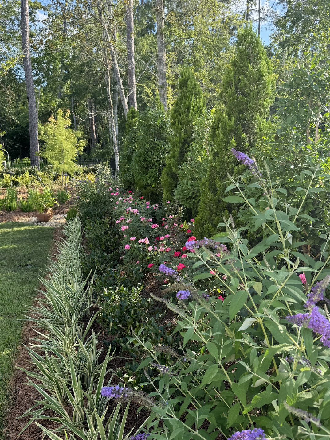 Screen Shot 2026-03-20 at 12.06.08 PM.png