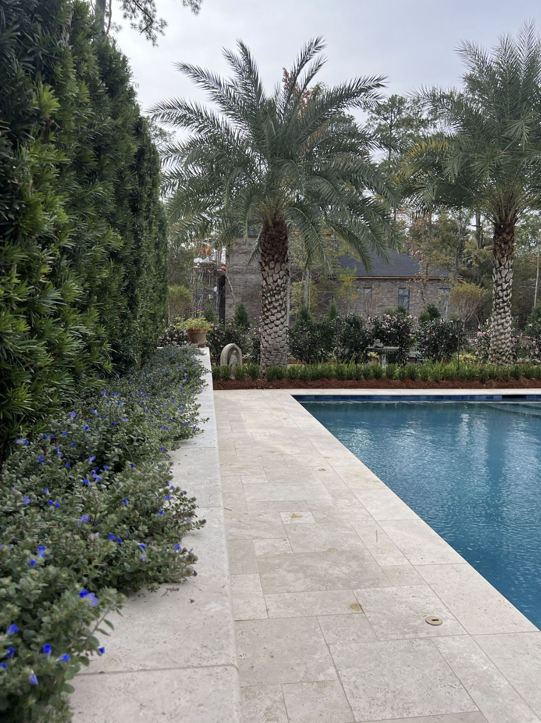 Screen Shot 2026-03-20 at 12.10.31 PM.png