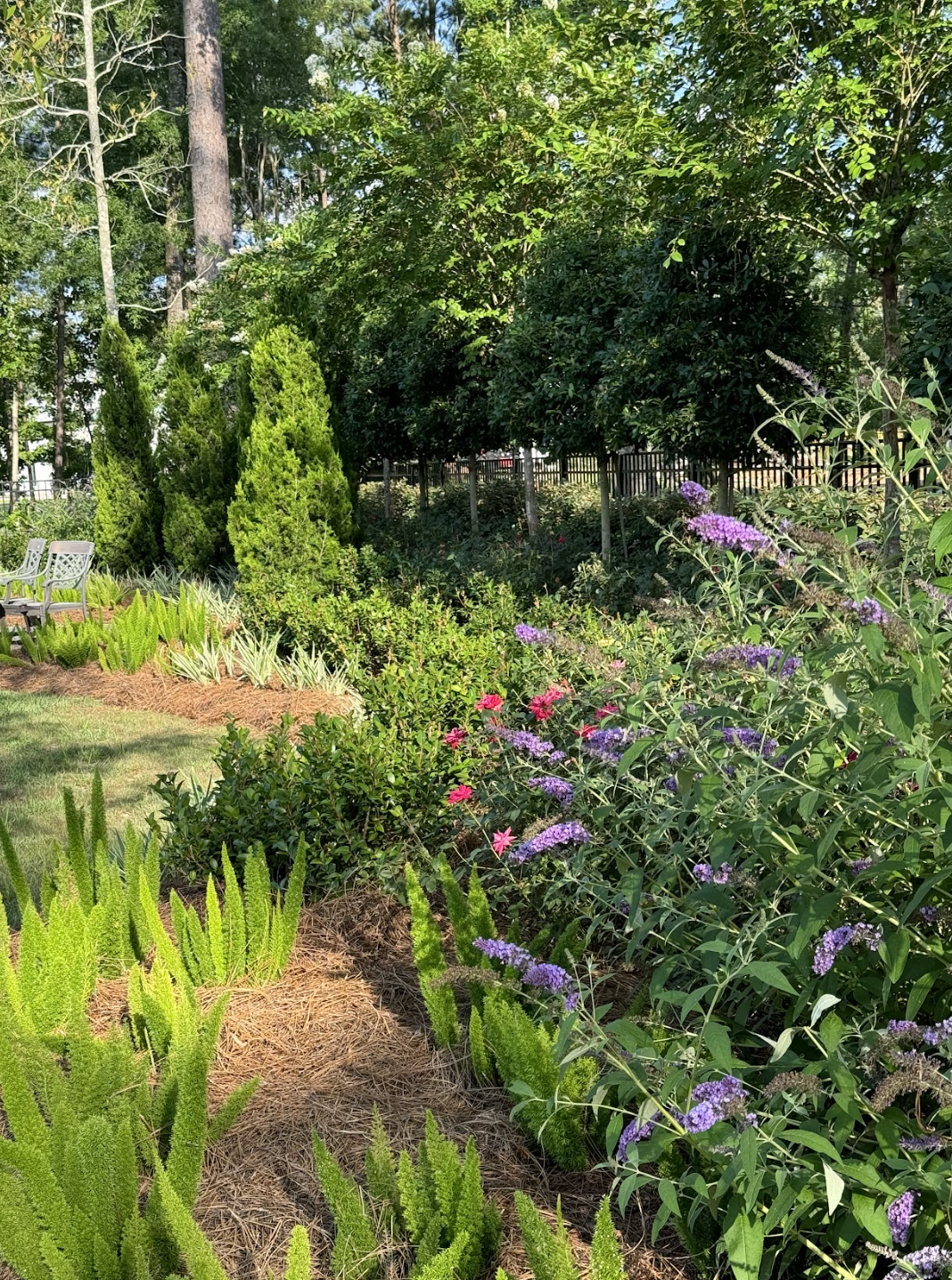 Screen Shot 2026-03-20 at 12.07.38 PM.png