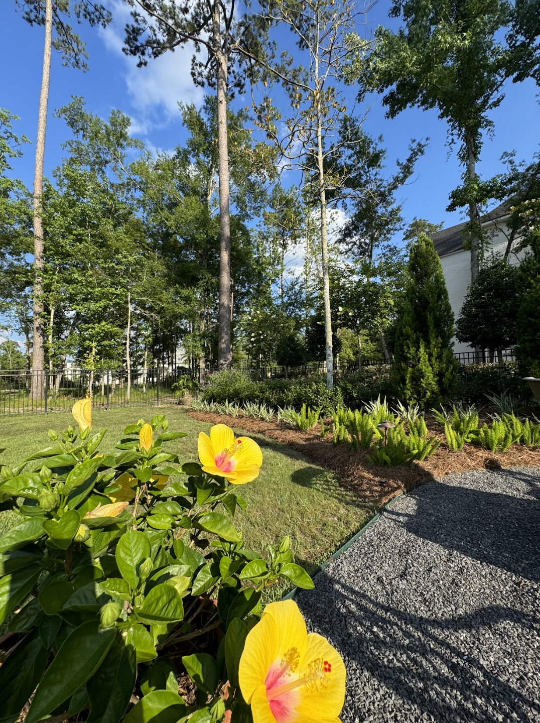 Screen Shot 2026-03-20 at 12.06.35 PM.png