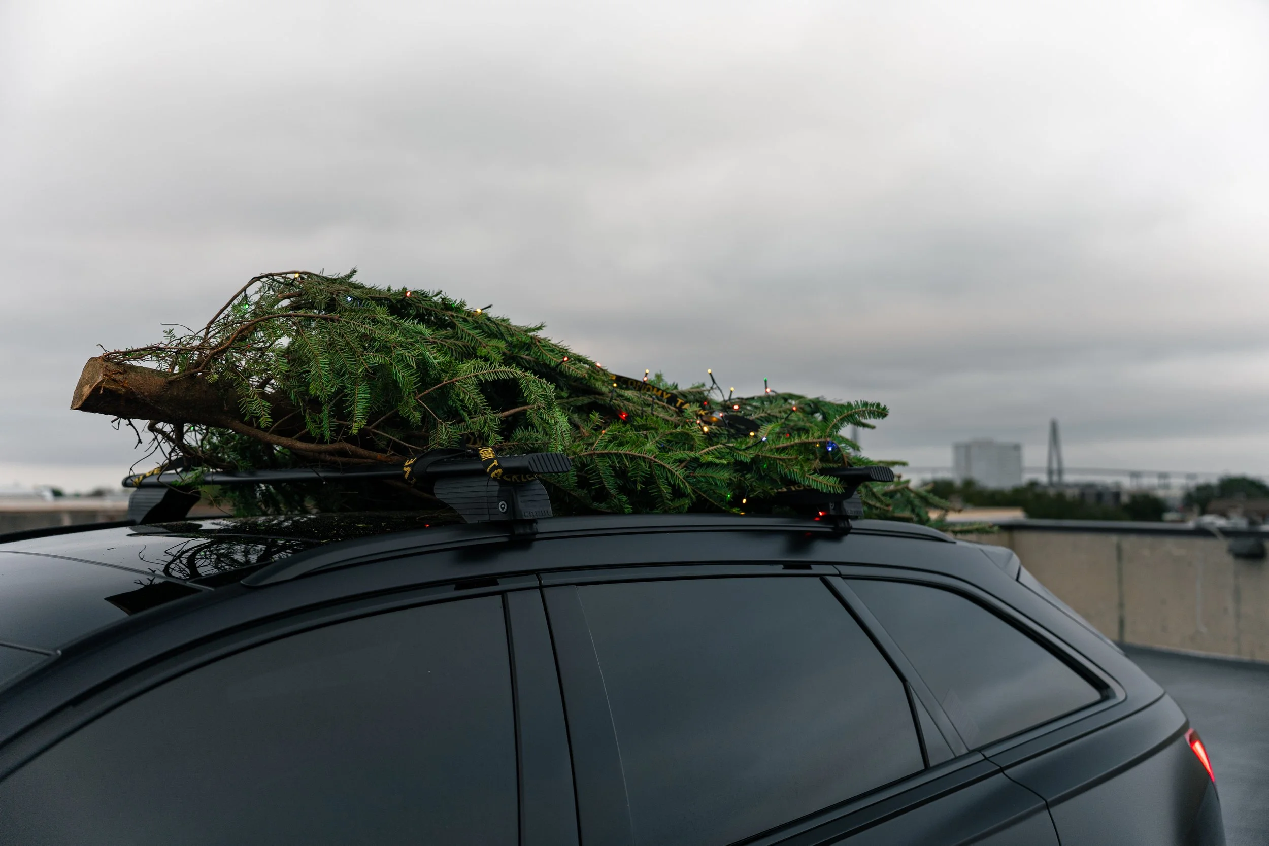 A black car with a pine tree on the roof, decorated with Christmas lights, against a cloudy sky and cityscape background.