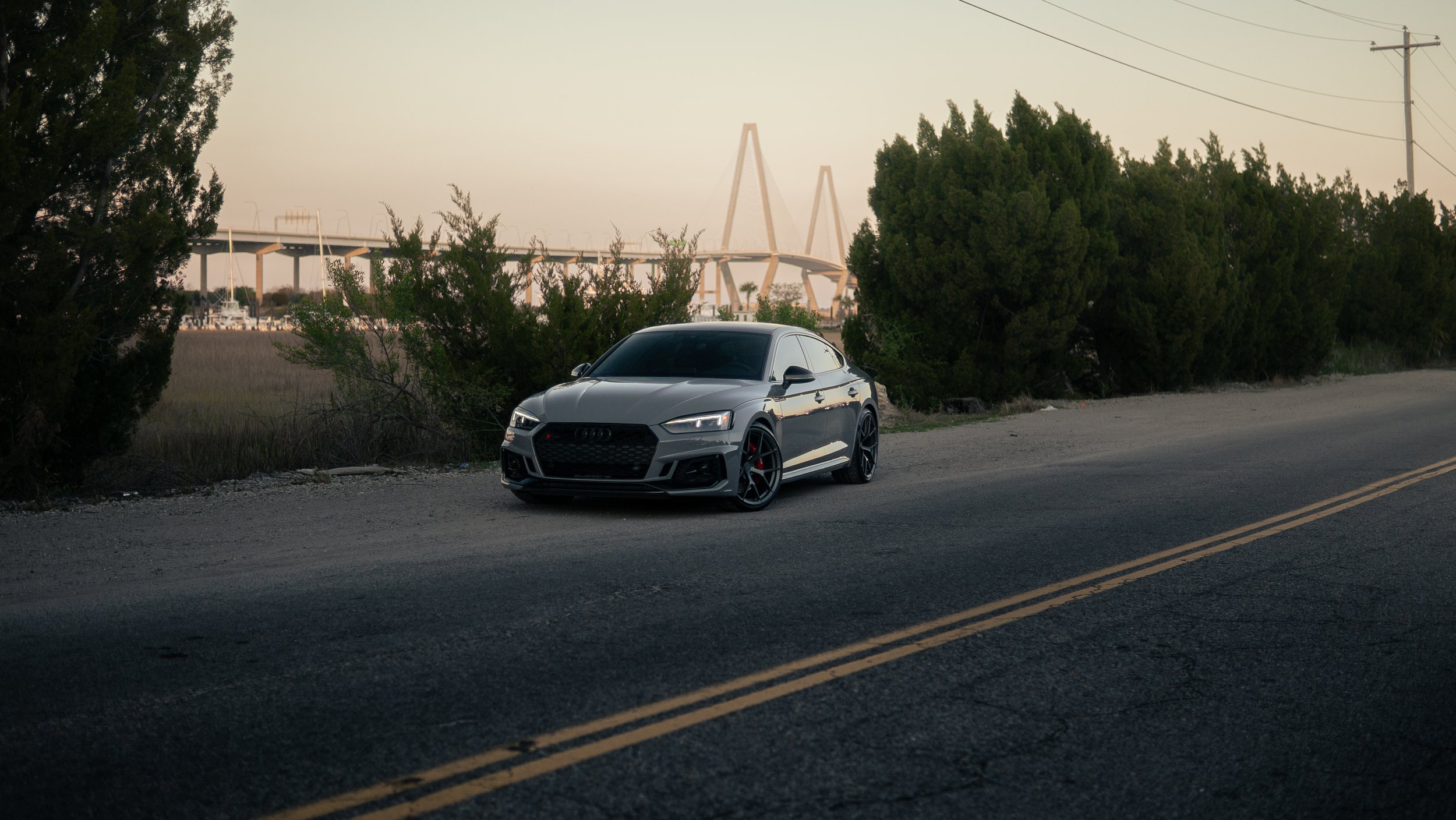 Gray sports car parked beside trees on the side of an empty road with a bridge in the background during dusk.