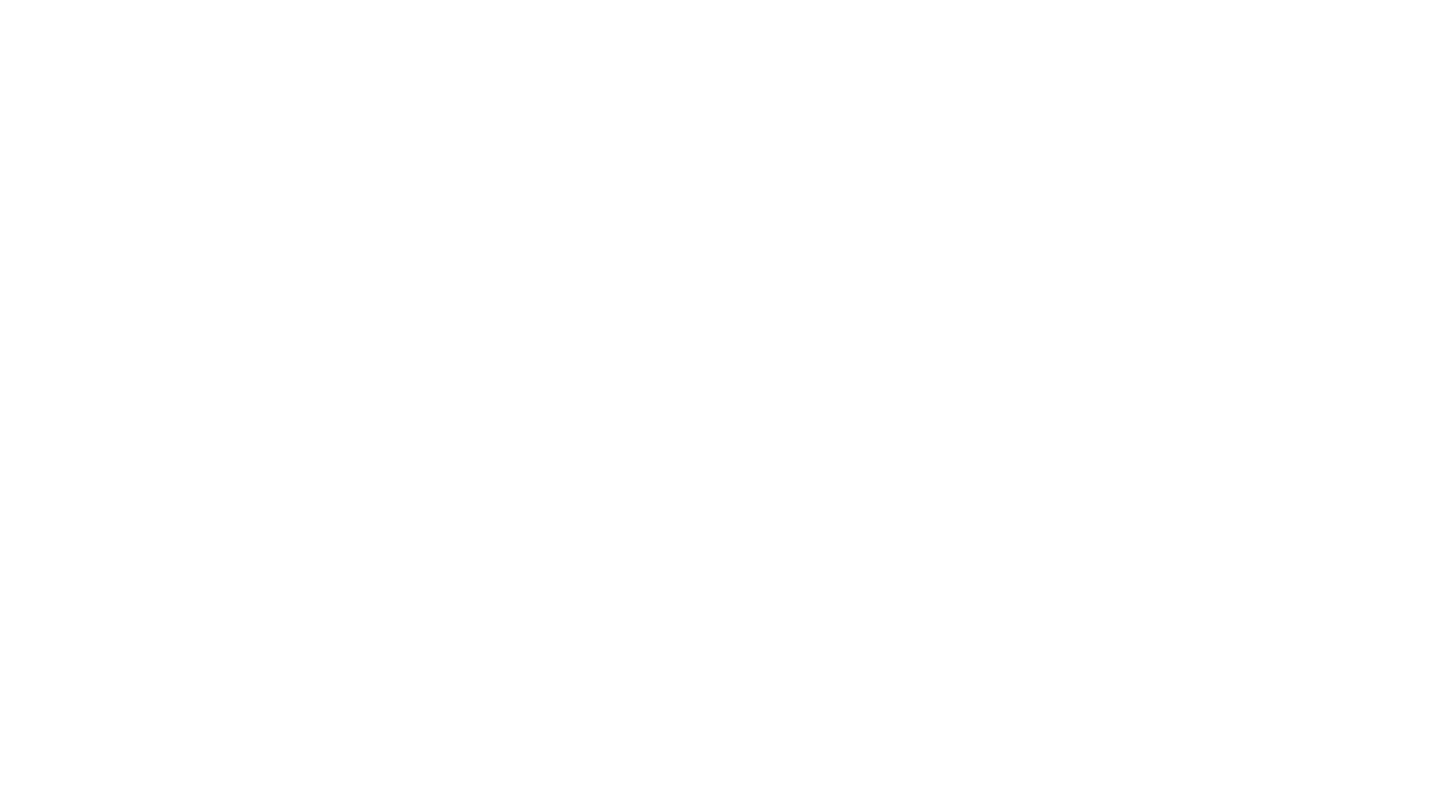 NYLEAR brand identity graphic — WBE-certified digital marketing agency logo mark