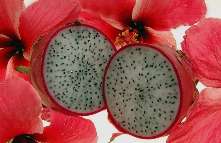 Dragon Fruit Hibiscus