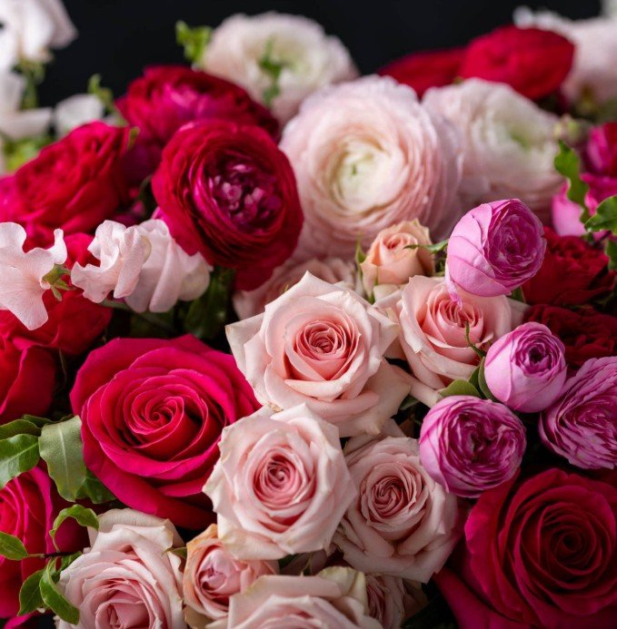 NEW!  Fresh Cut Roses