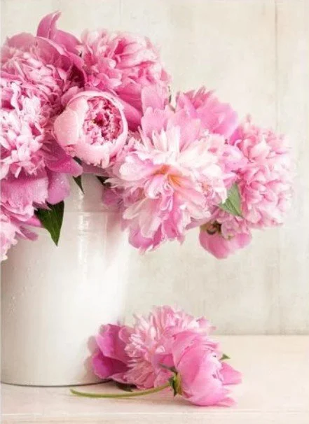 Peony Florals Moisturizing Sugar Scrub 8oz