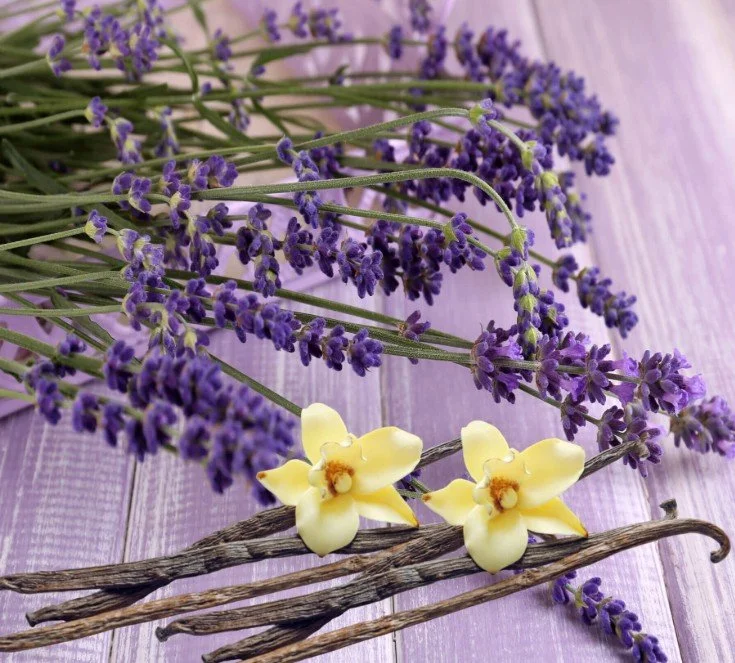 Lavender Vanilla Moisturizing Sugar Scrub 8oz