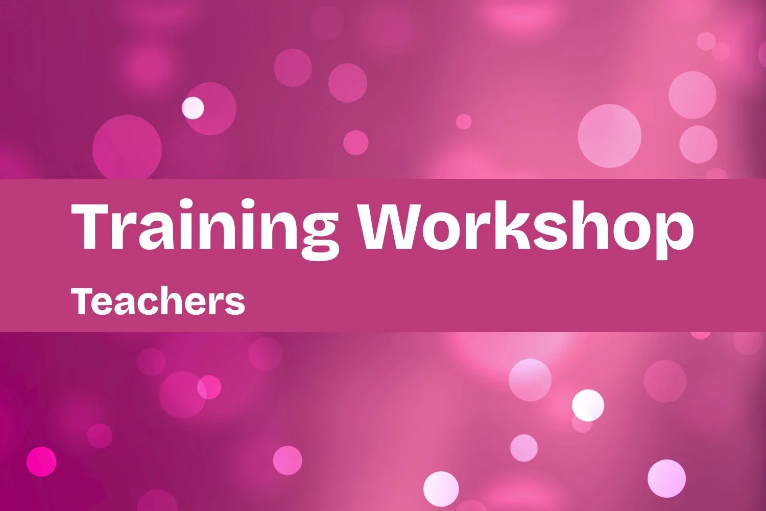 Training Workshop – Teachers