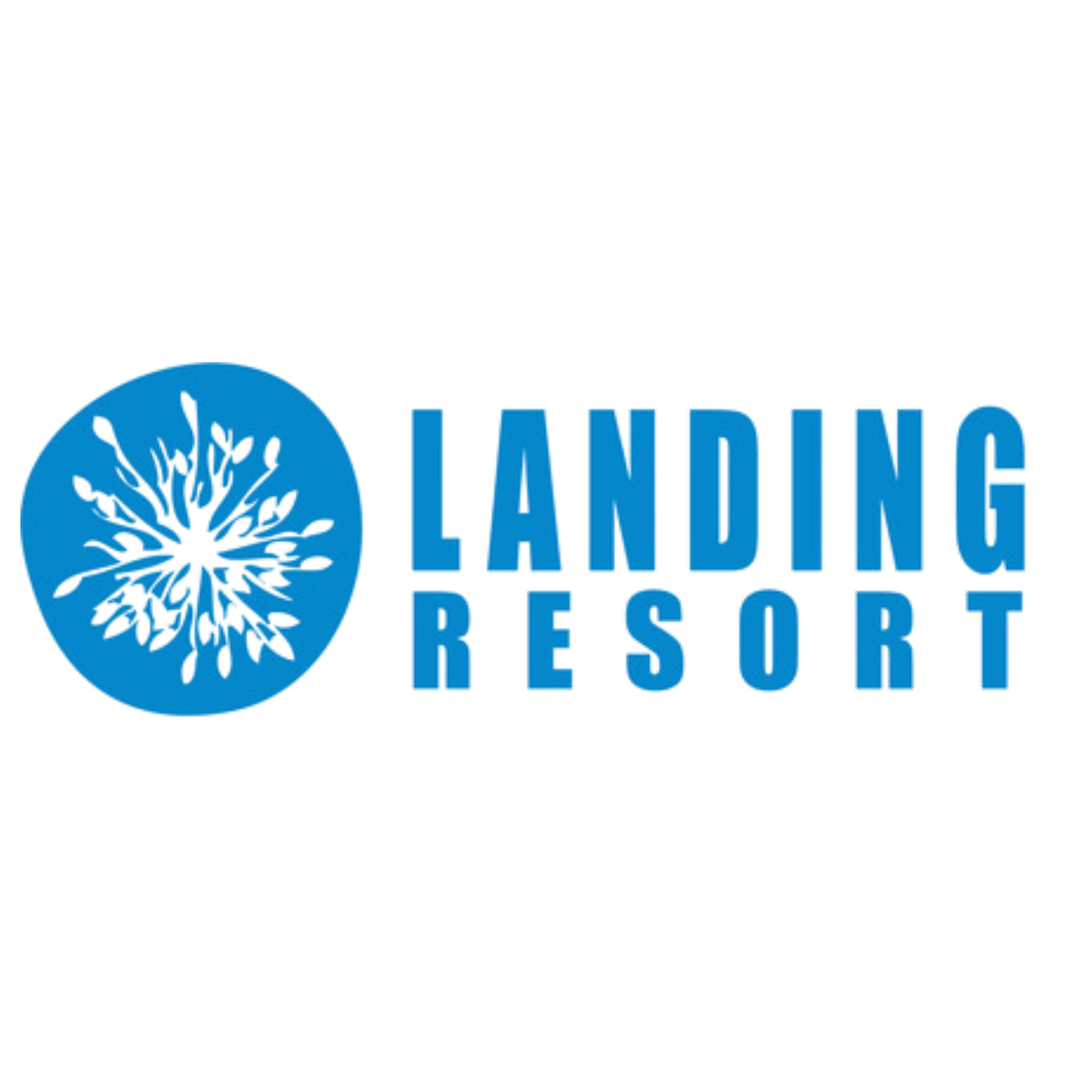 Landing.png