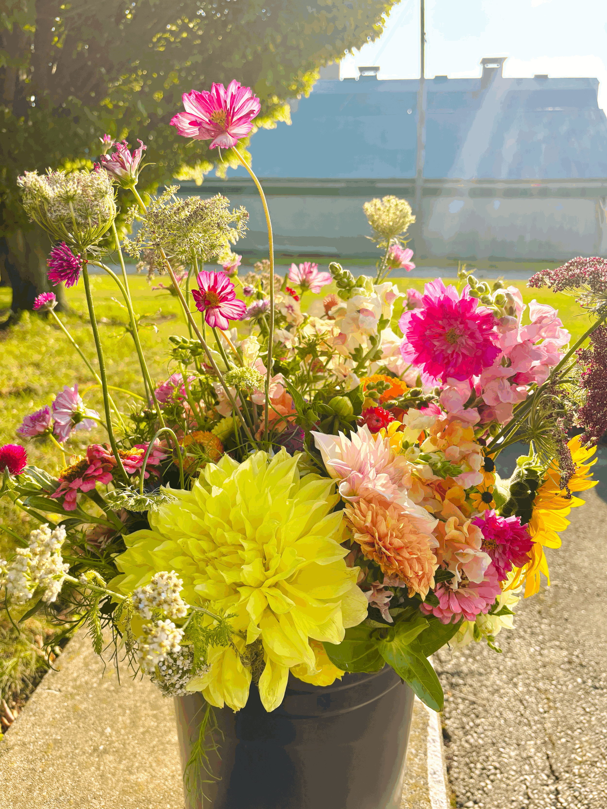 Bulk Mixed Flower DIY Buckets